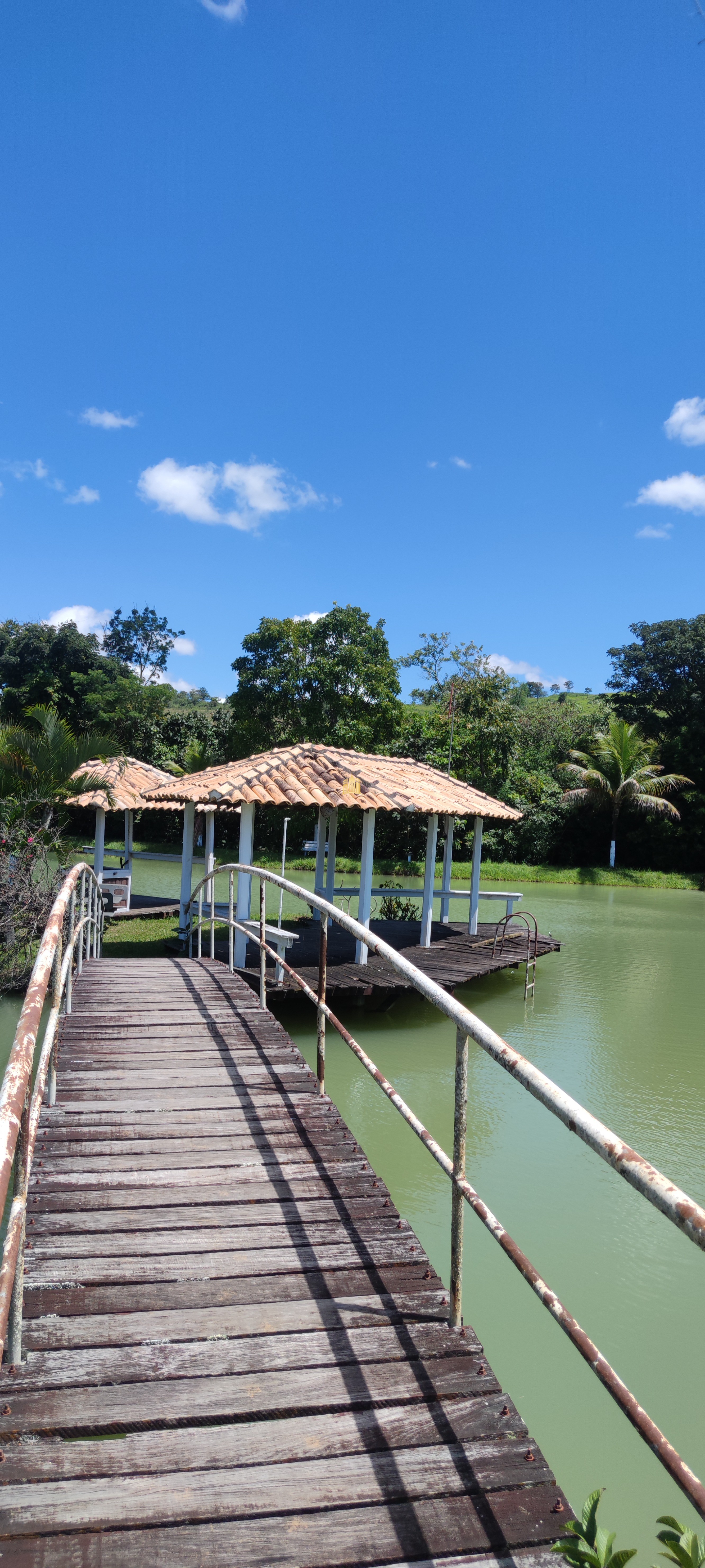 Fazenda à venda com 2 quartos, 131916m² - Foto 44