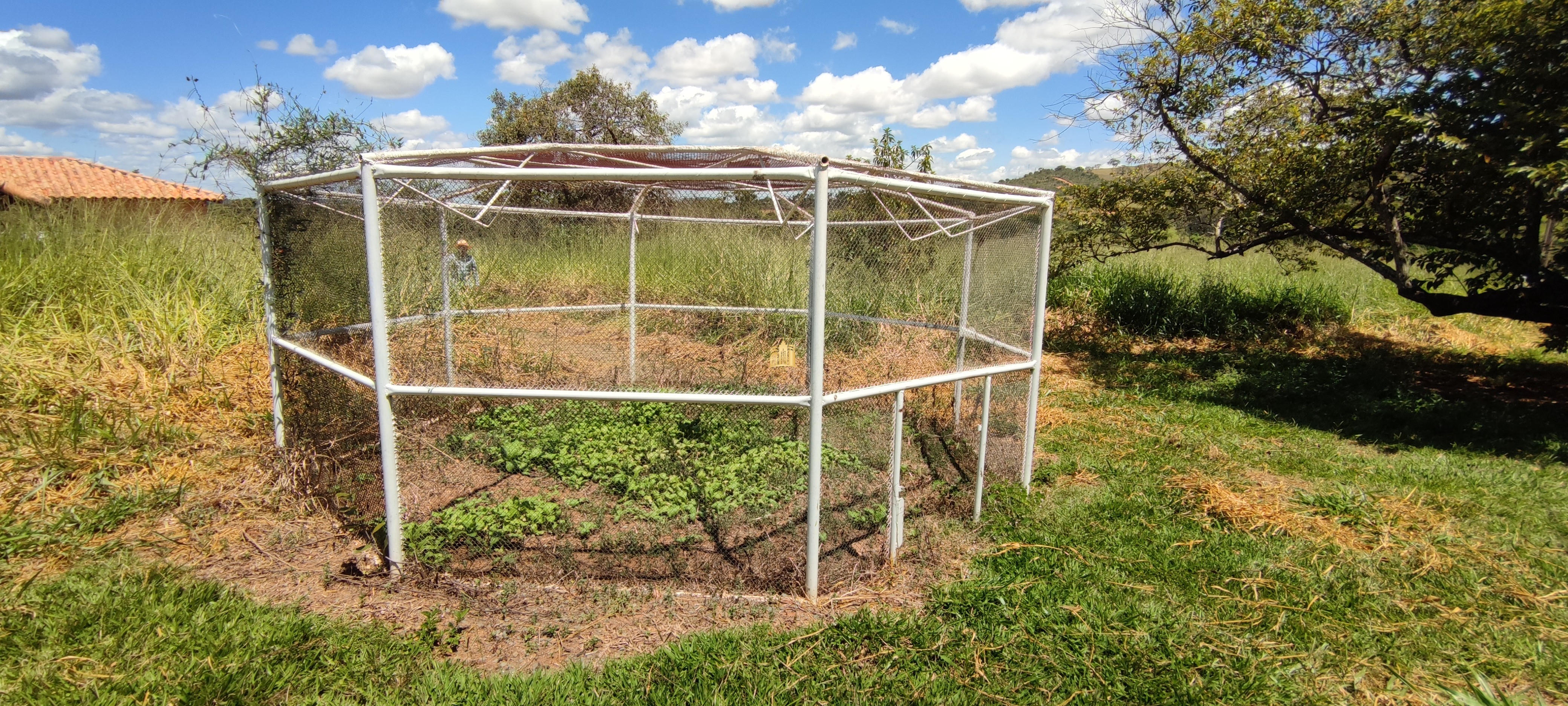 Fazenda à venda com 2 quartos, 131916m² - Foto 60