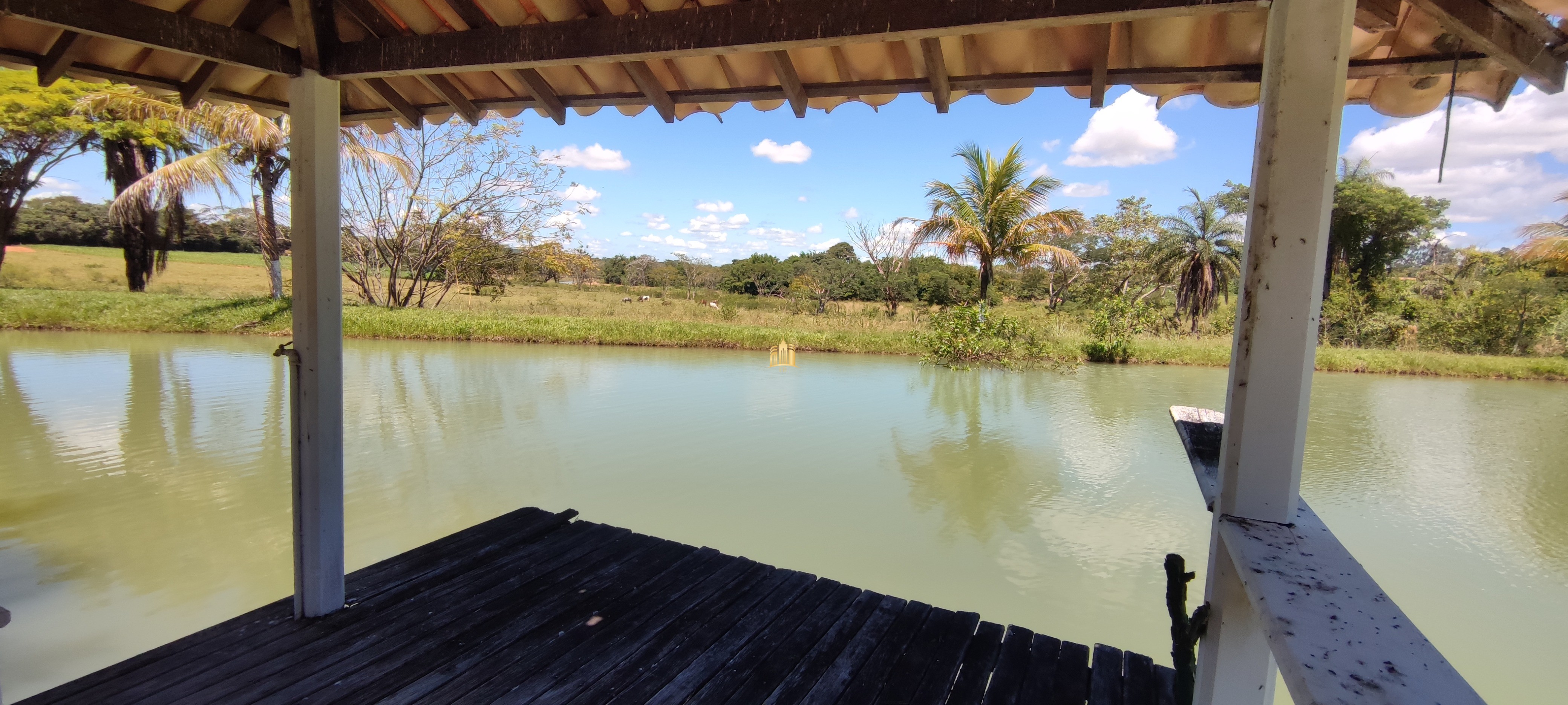 Fazenda à venda com 2 quartos, 131916m² - Foto 36