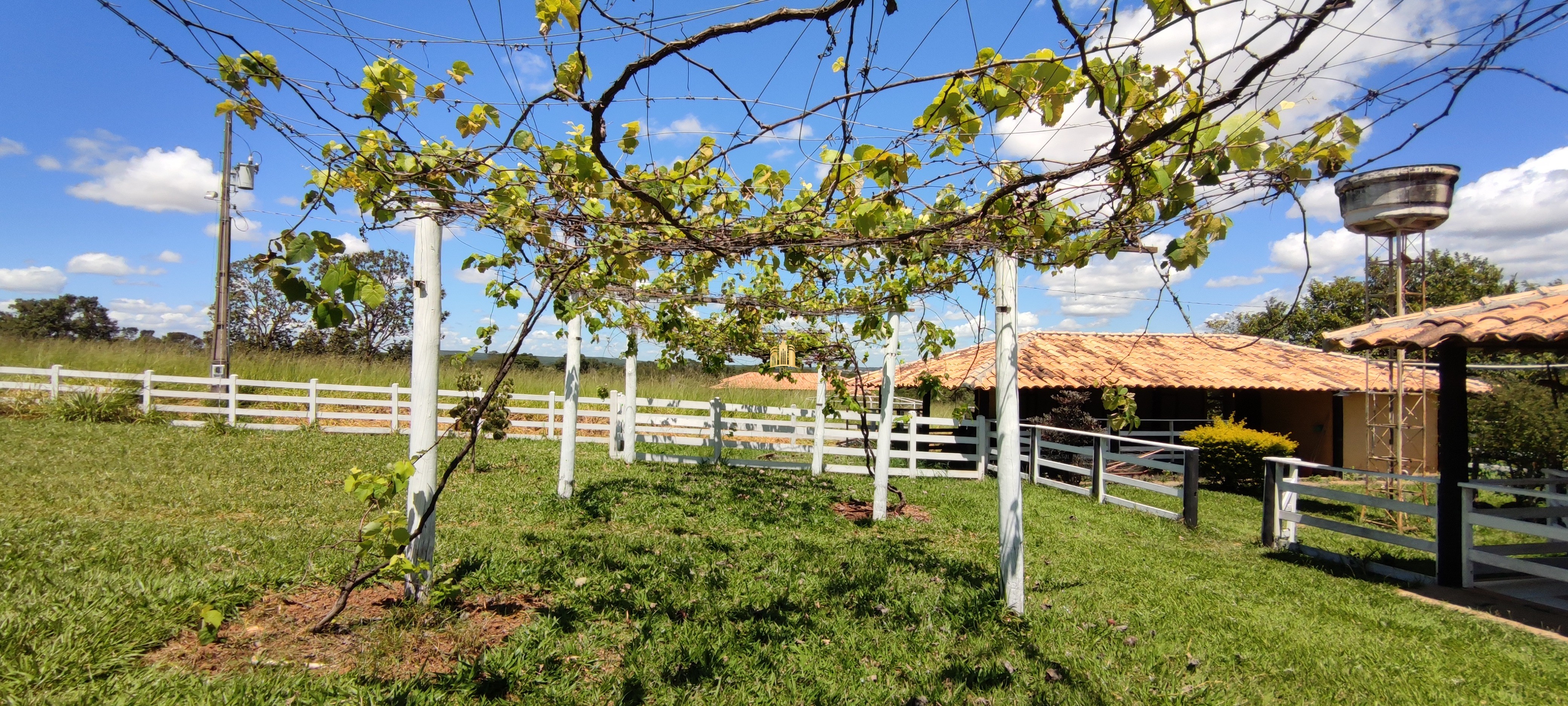 Fazenda à venda com 2 quartos, 131916m² - Foto 108