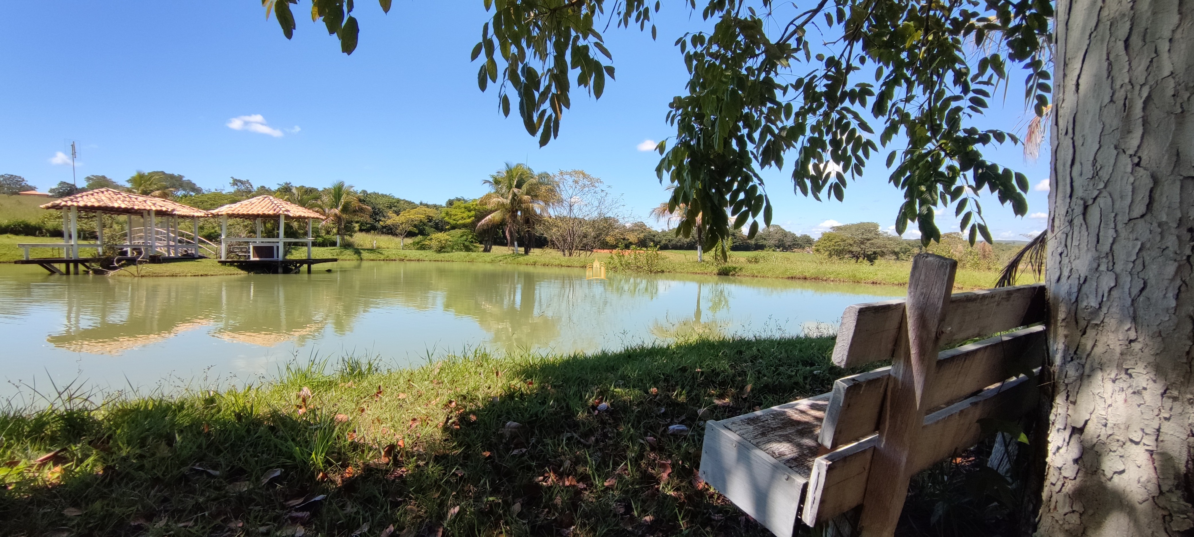 Fazenda à venda com 2 quartos, 131916m² - Foto 50