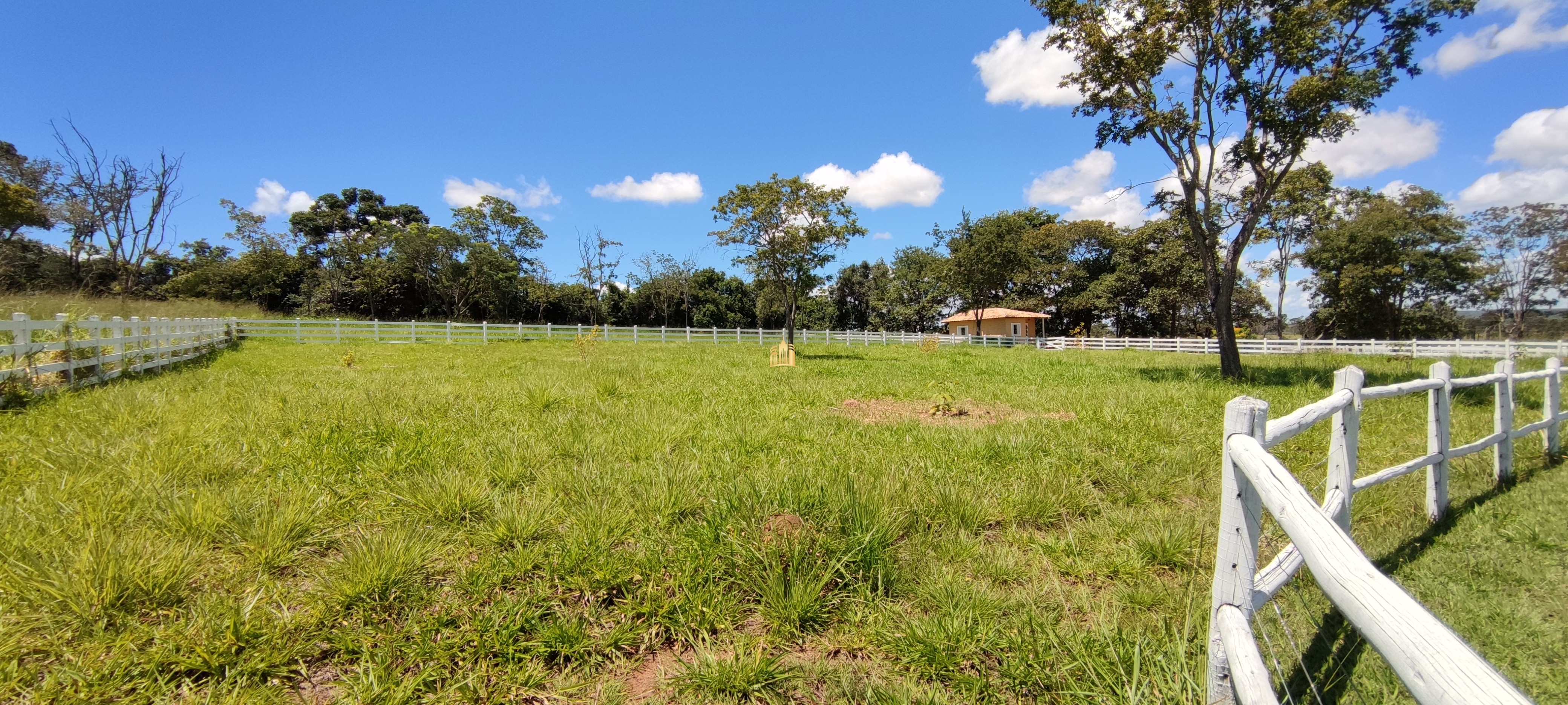 Fazenda à venda com 2 quartos, 131916m² - Foto 68