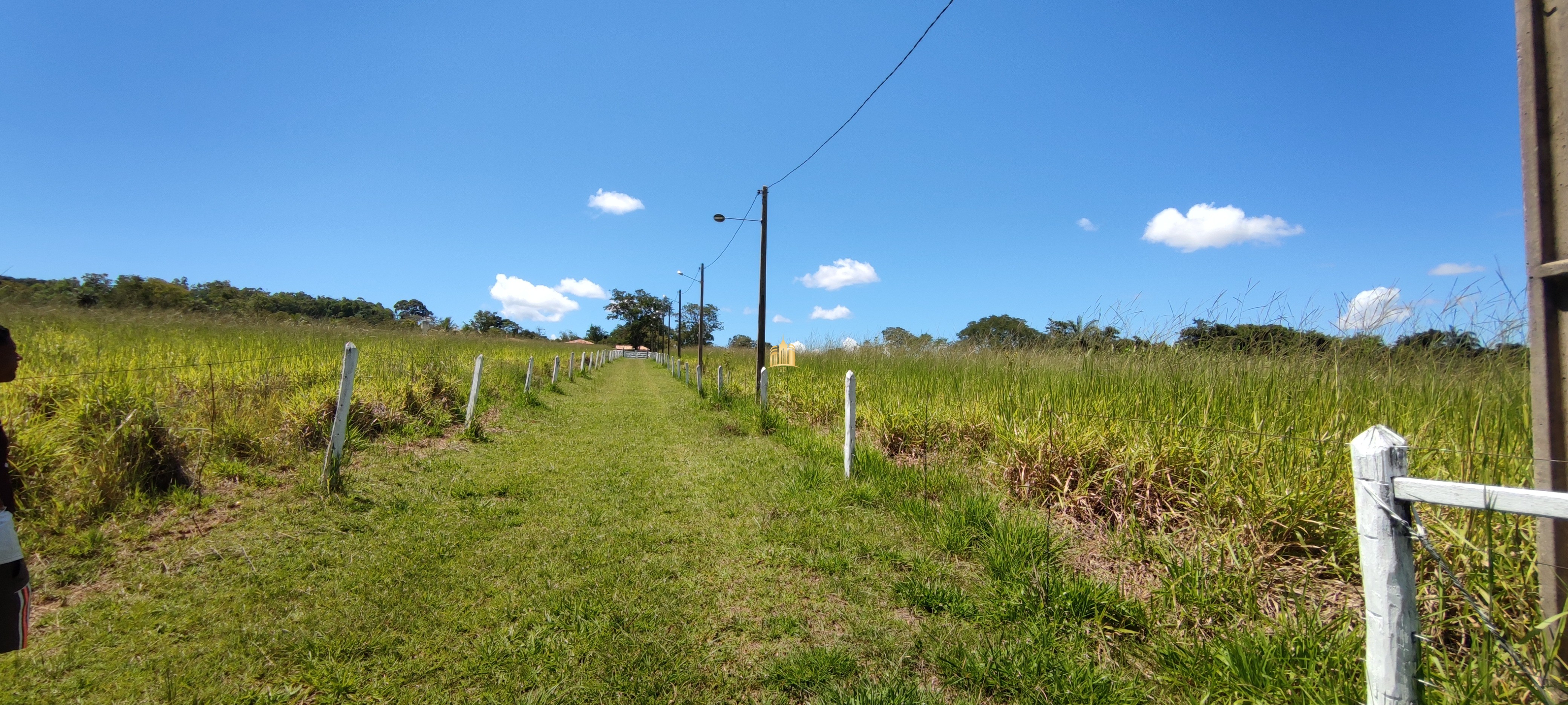 Fazenda à venda com 2 quartos, 131916m² - Foto 119