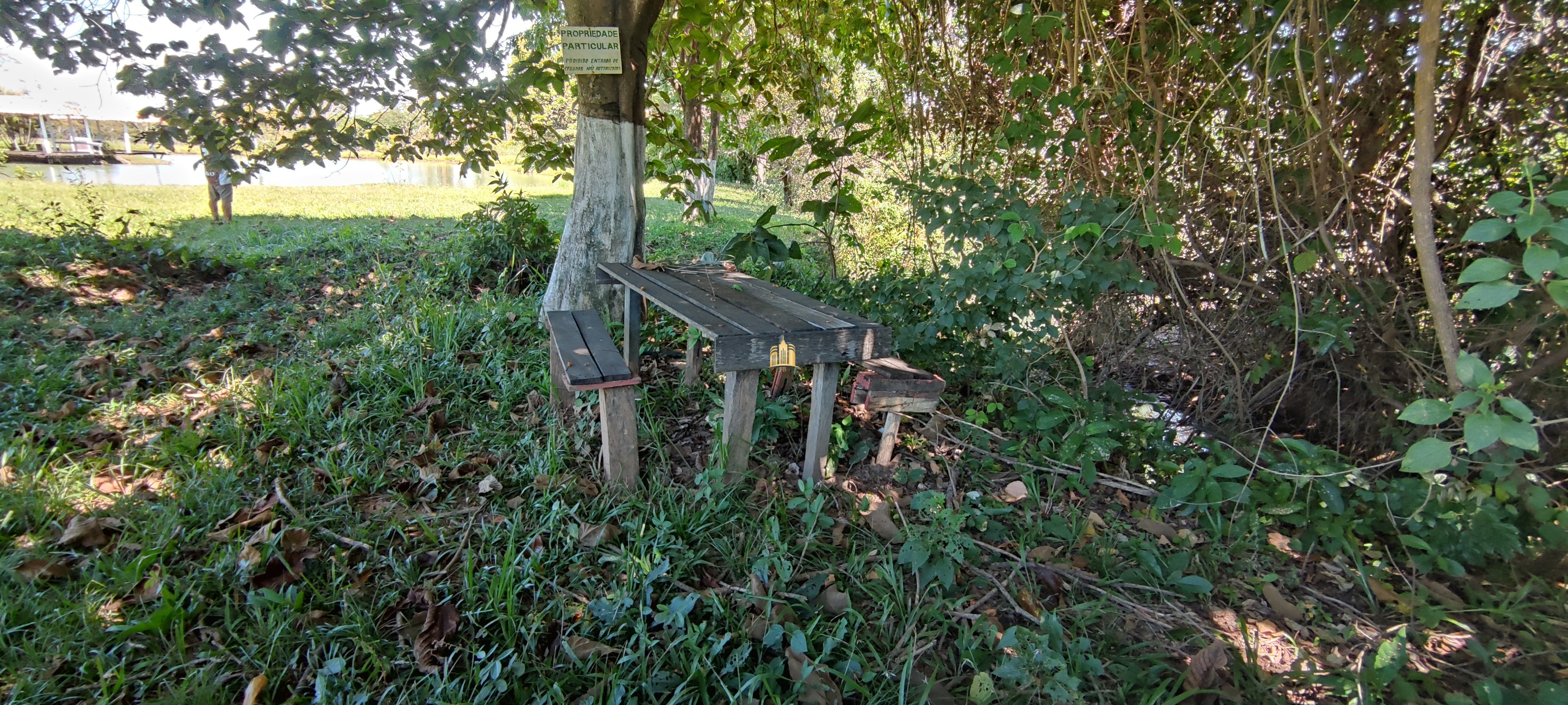 Fazenda à venda com 2 quartos, 131916m² - Foto 124