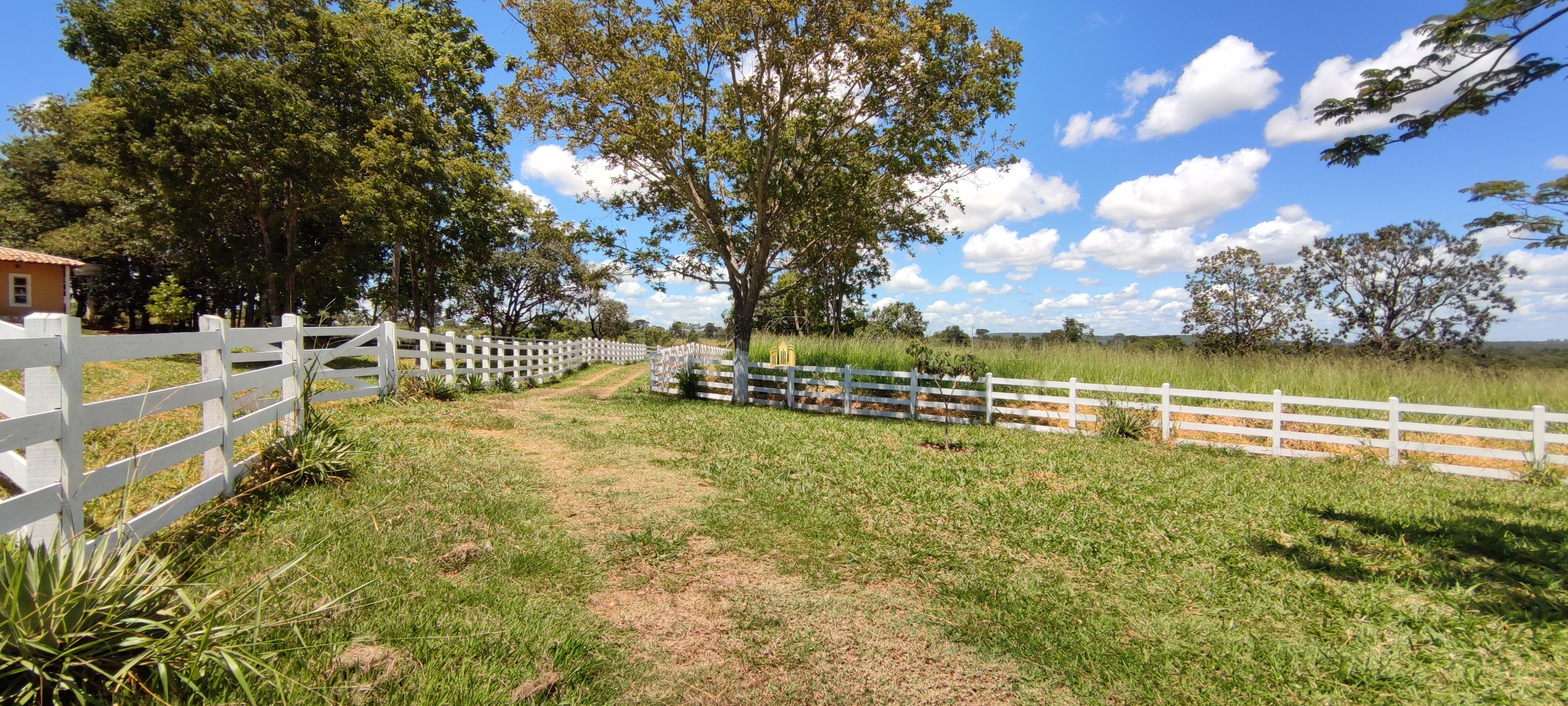 Fazenda à venda com 2 quartos, 131916m² - Foto 66