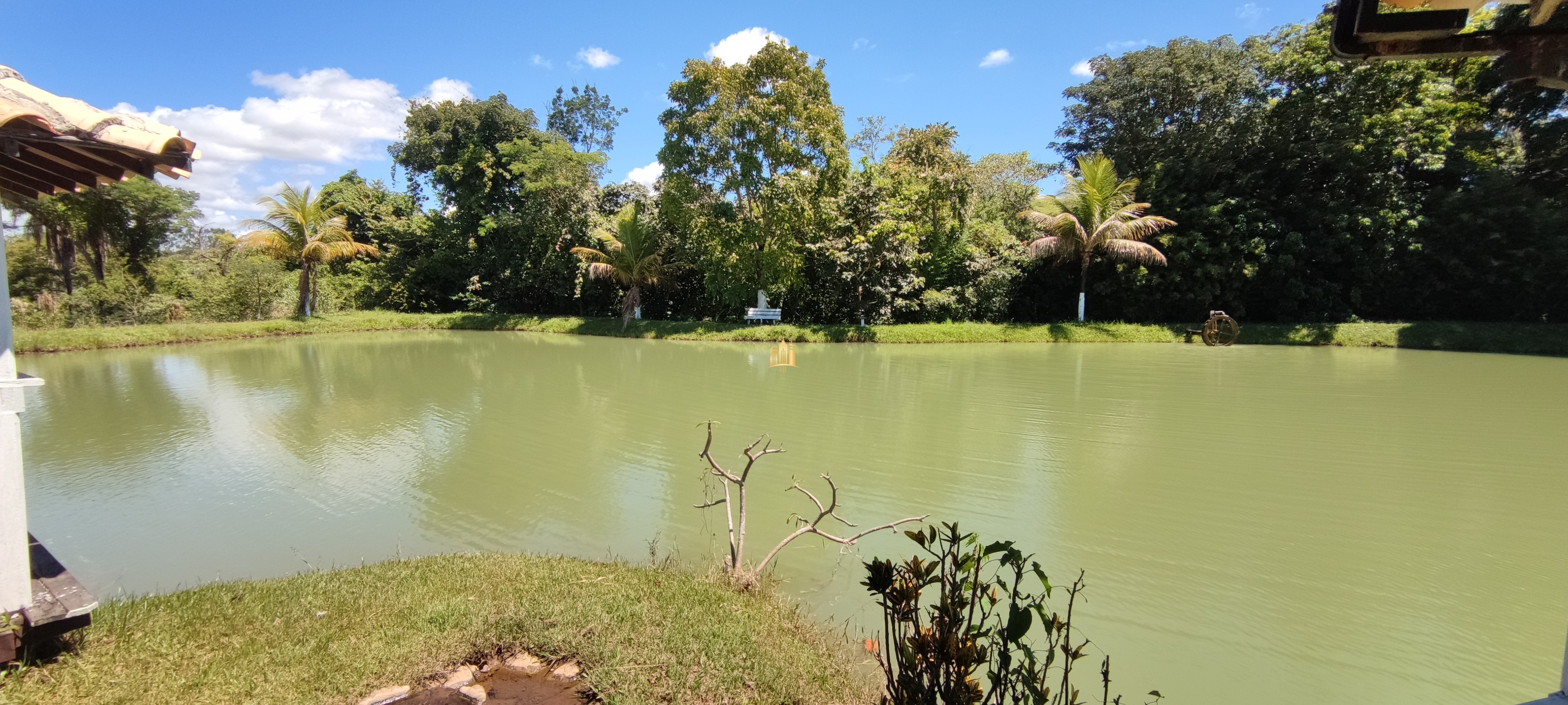 Fazenda à venda com 2 quartos, 131916m² - Foto 32