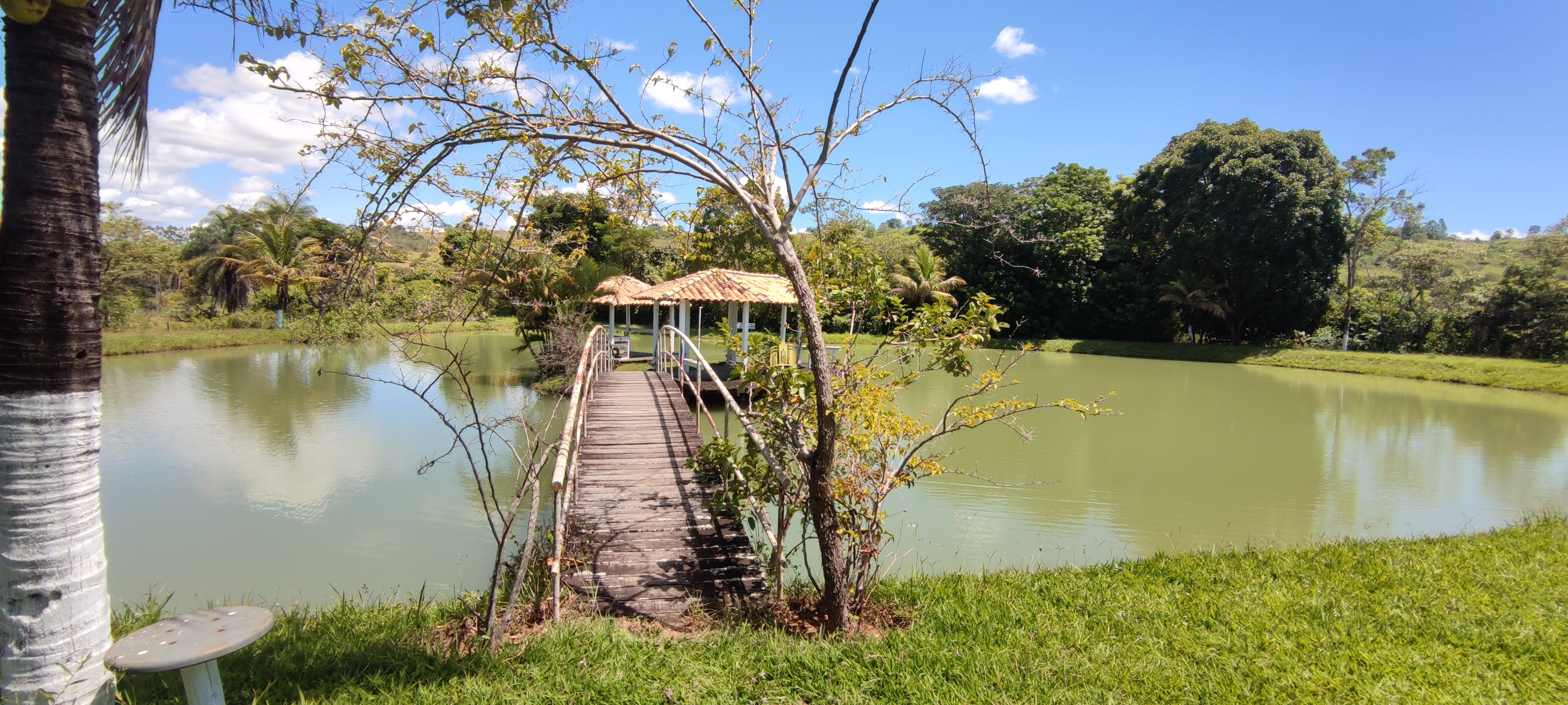 Fazenda à venda com 2 quartos, 131916m² - Foto 53