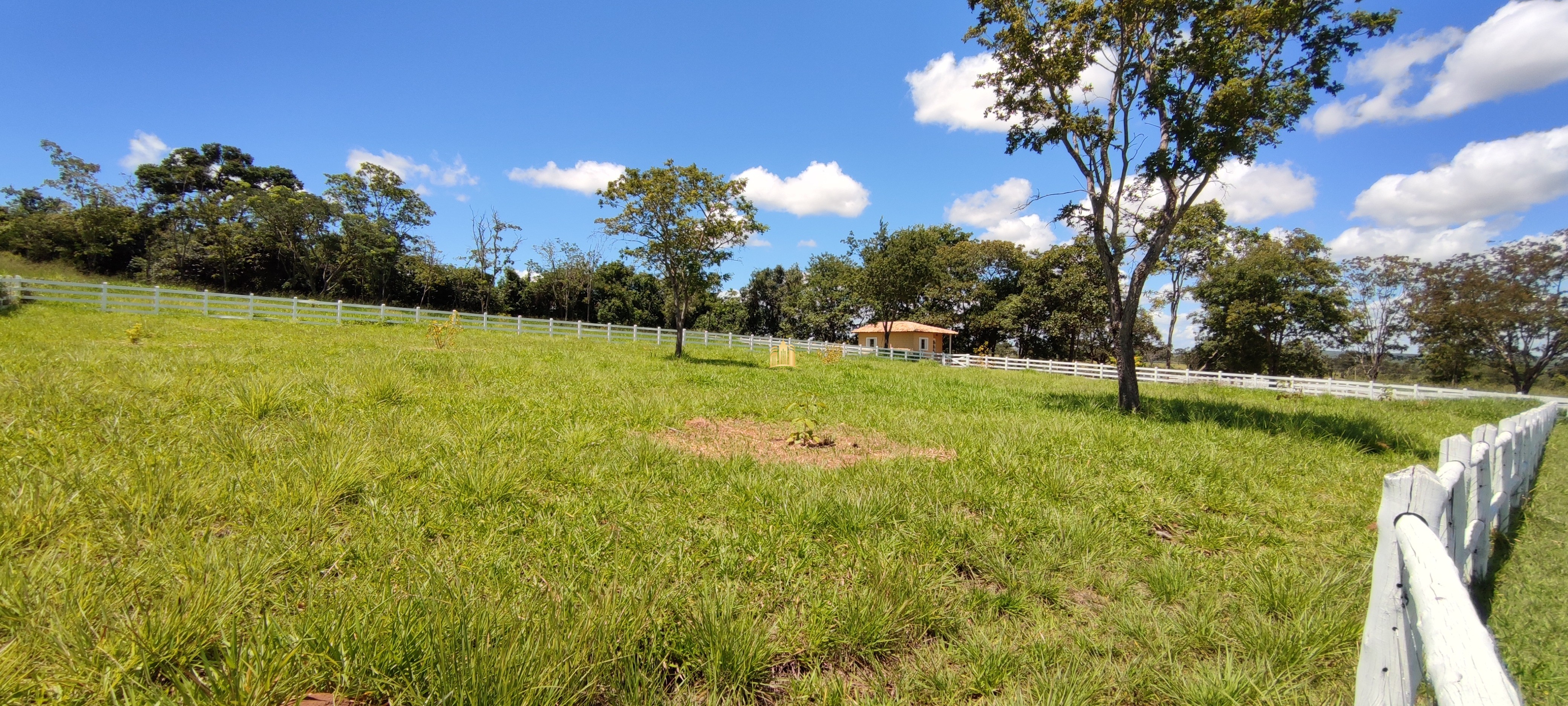 Fazenda à venda com 2 quartos, 131916m² - Foto 67