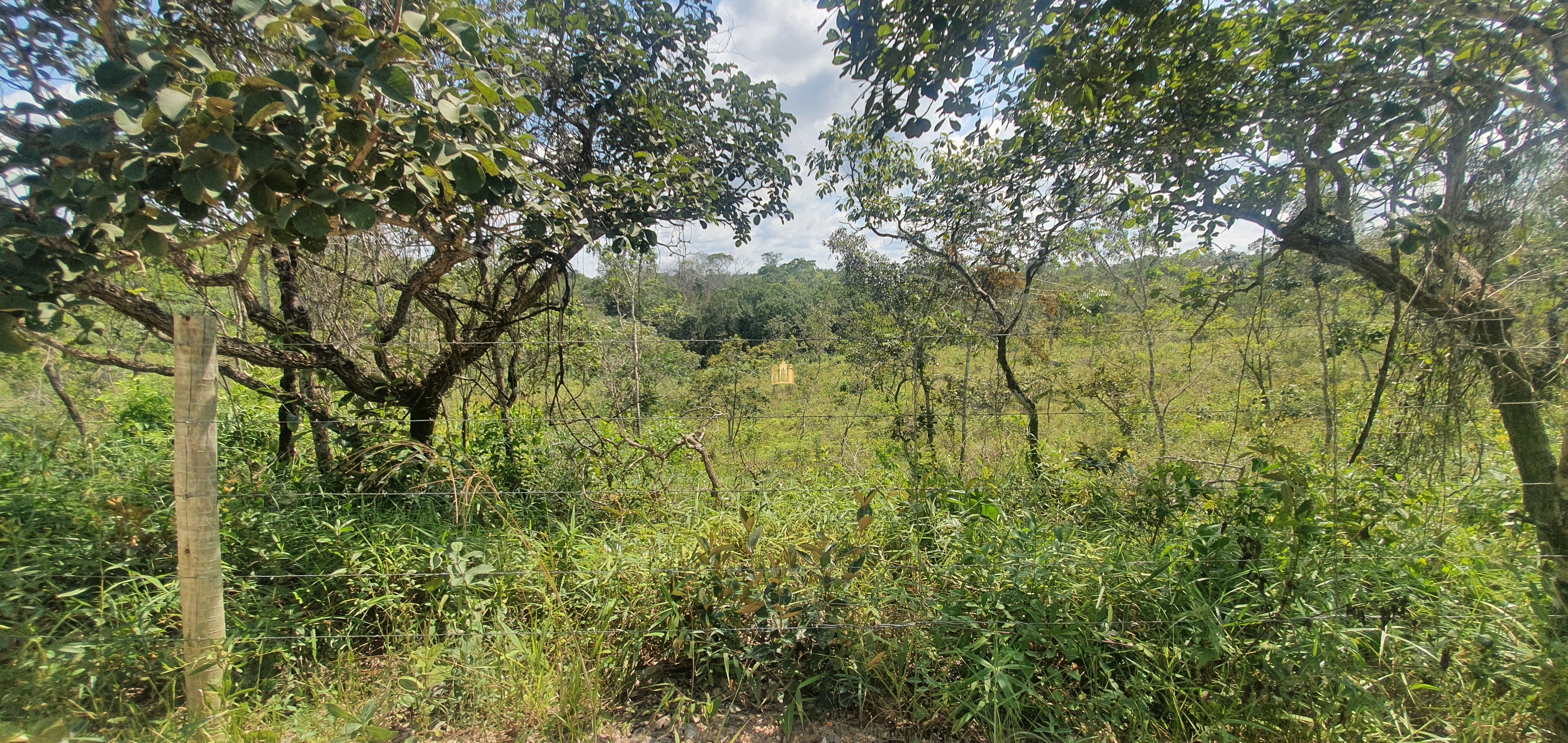 Terreno à venda, 14m² - Foto 9