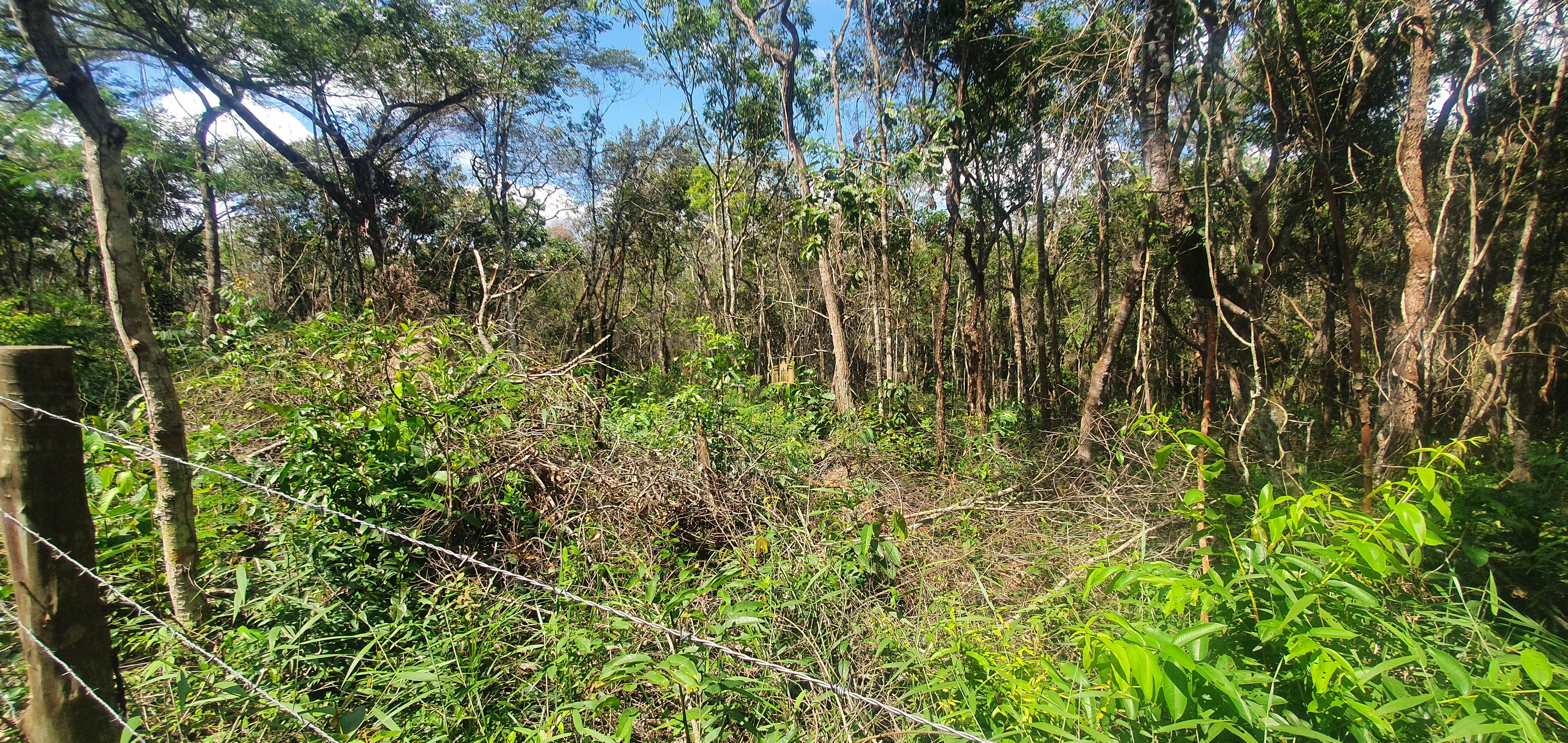 Terreno à venda, 14m² - Foto 21