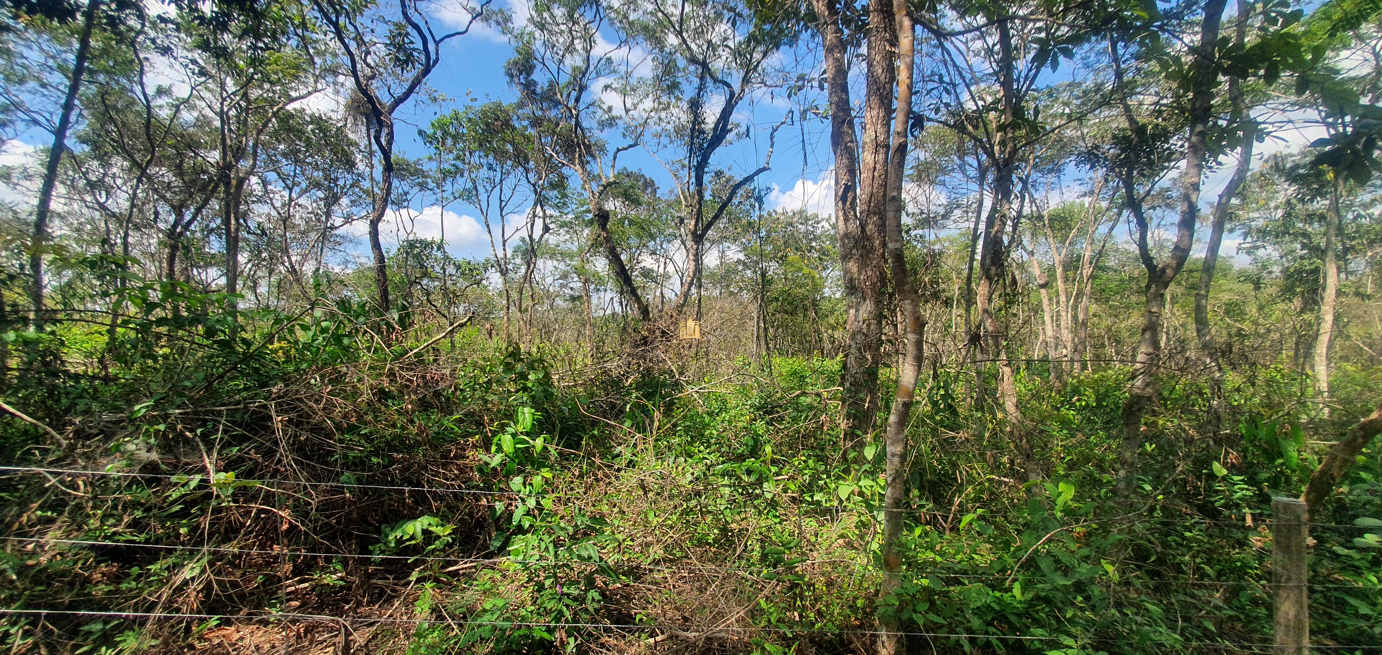 Terreno à venda, 14m² - Foto 5