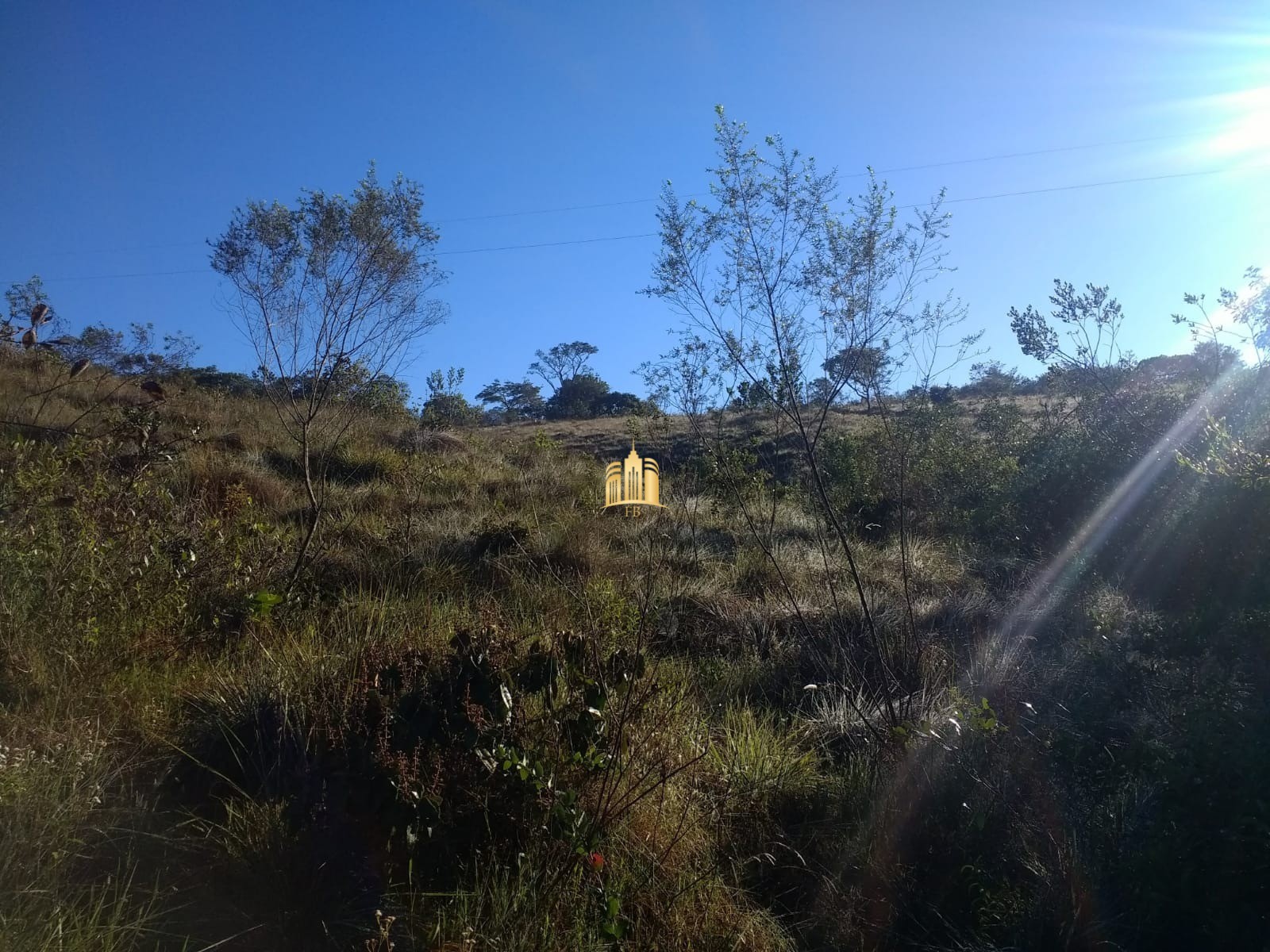 Fazenda à venda com 2 quartos, 330000m² - Foto 5