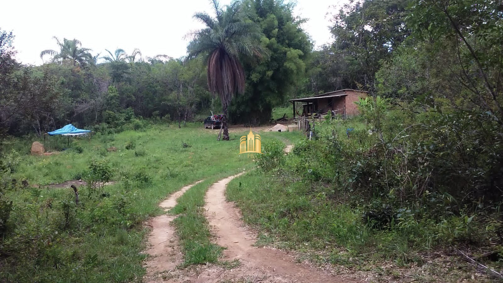 Fazenda à venda com 2 quartos, 330000m² - Foto 17