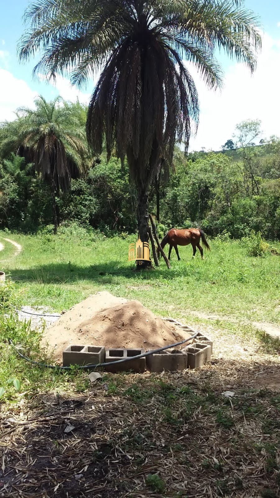 Fazenda à venda com 2 quartos, 330000m² - Foto 9