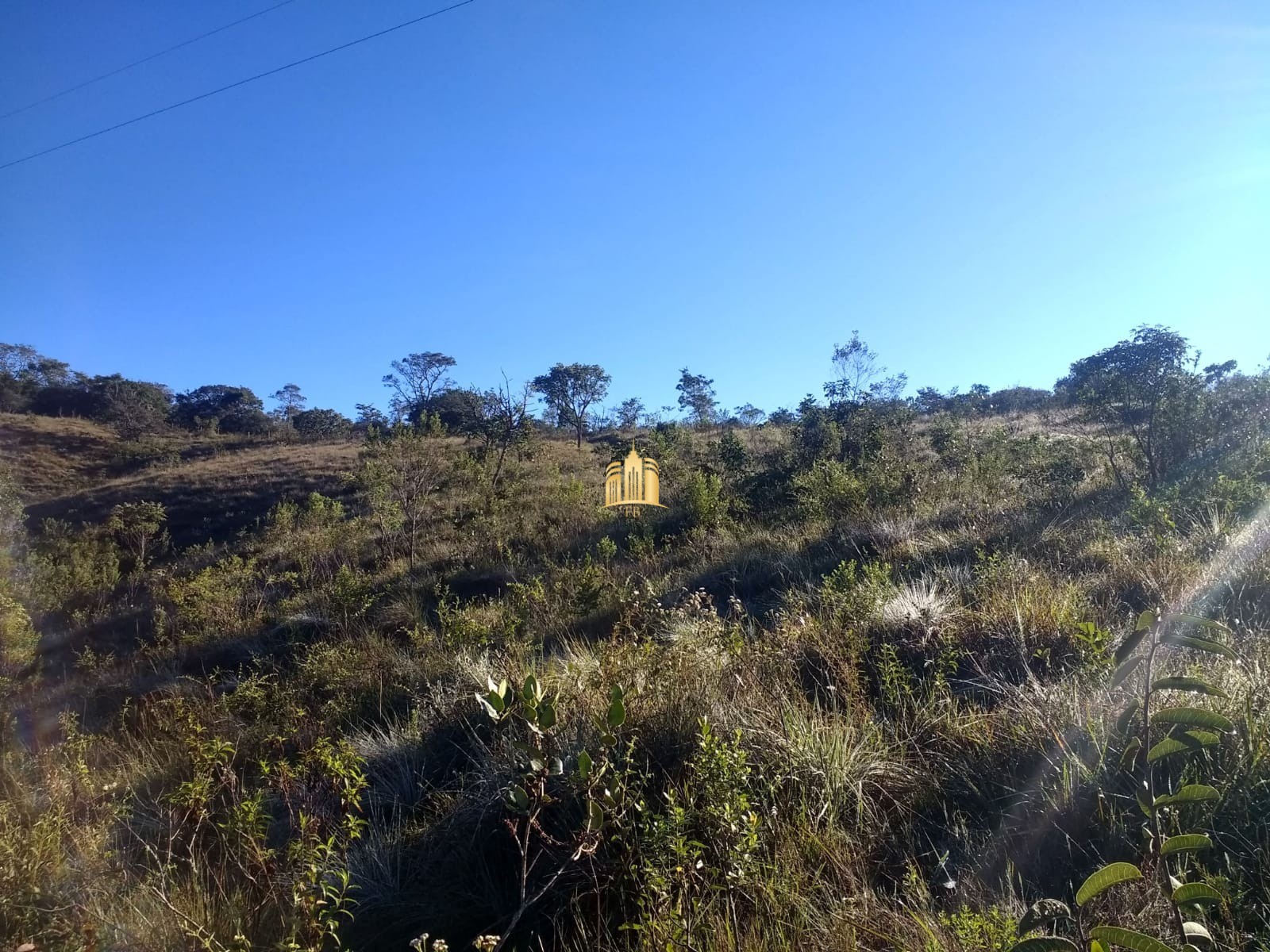 Fazenda à venda com 2 quartos, 330000m² - Foto 6