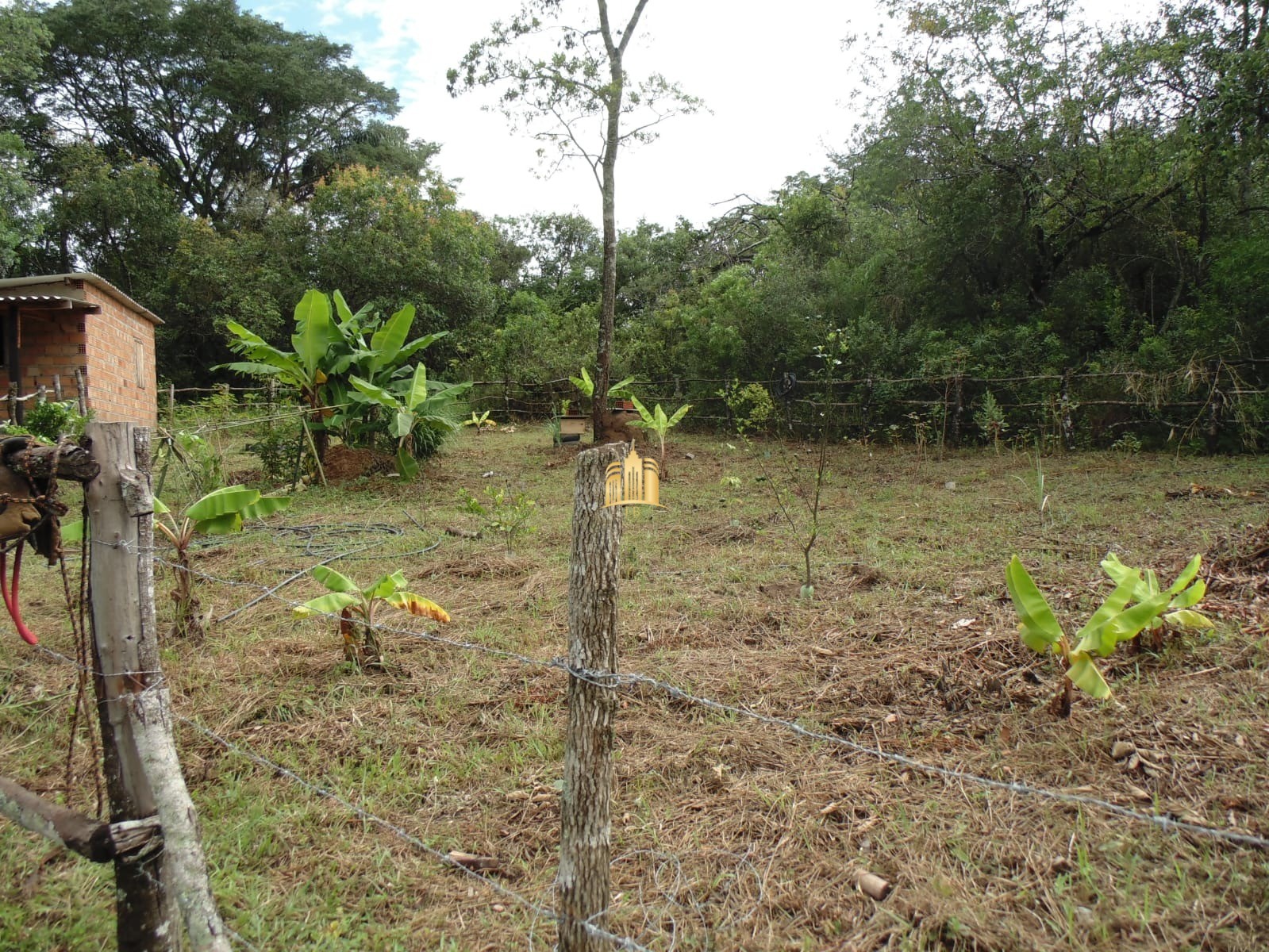 Fazenda à venda com 2 quartos, 330000m² - Foto 10