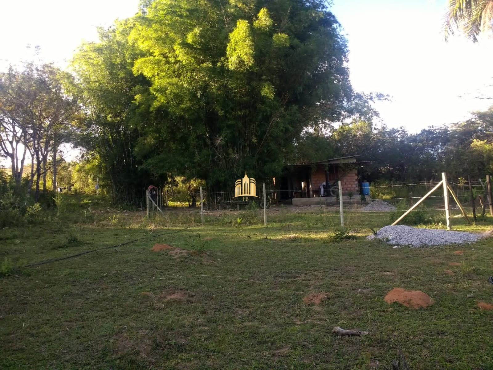 Fazenda à venda com 2 quartos, 330000m² - Foto 7