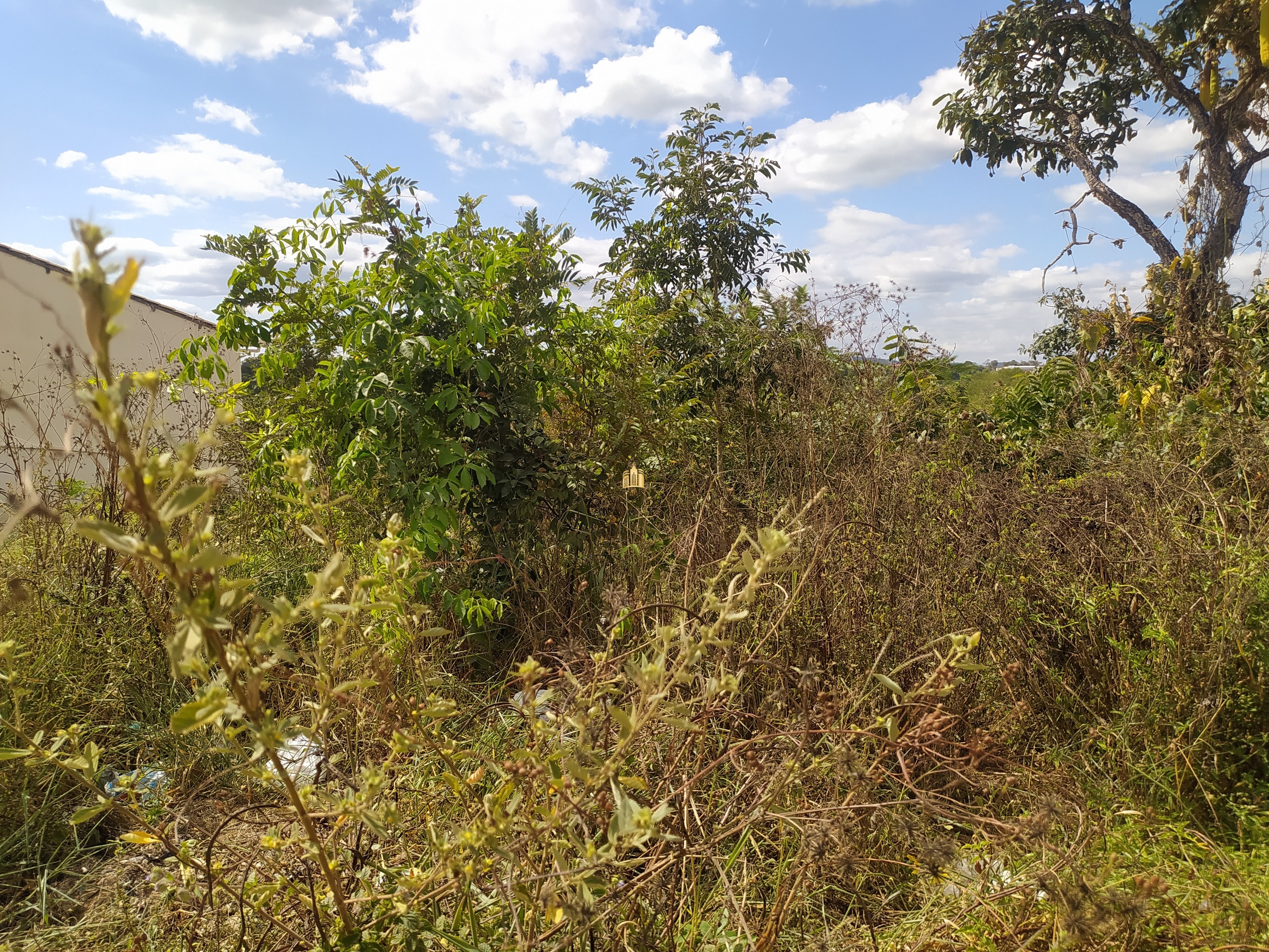 Terreno à venda, 450m² - Foto 3