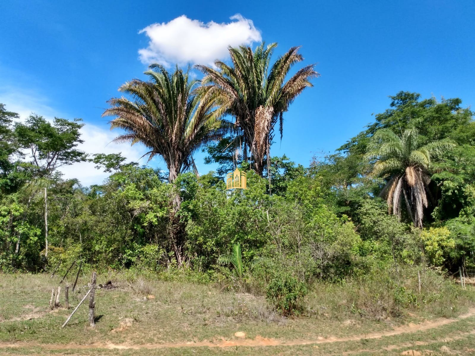 Fazenda à venda com 2 quartos, 330000m² - Foto 15