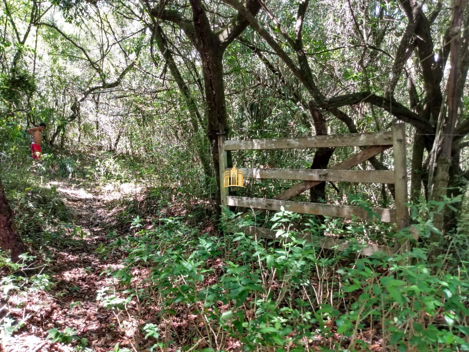 Fazenda à venda com 2 quartos, 330000m² - Foto 14