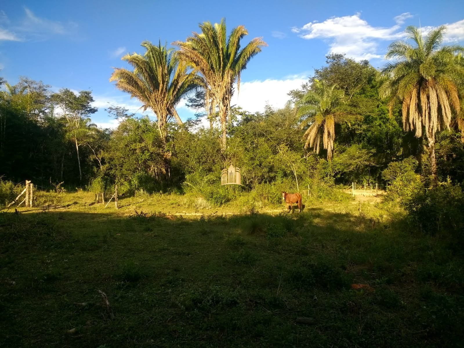 Fazenda à venda com 2 quartos, 330000m² - Foto 8