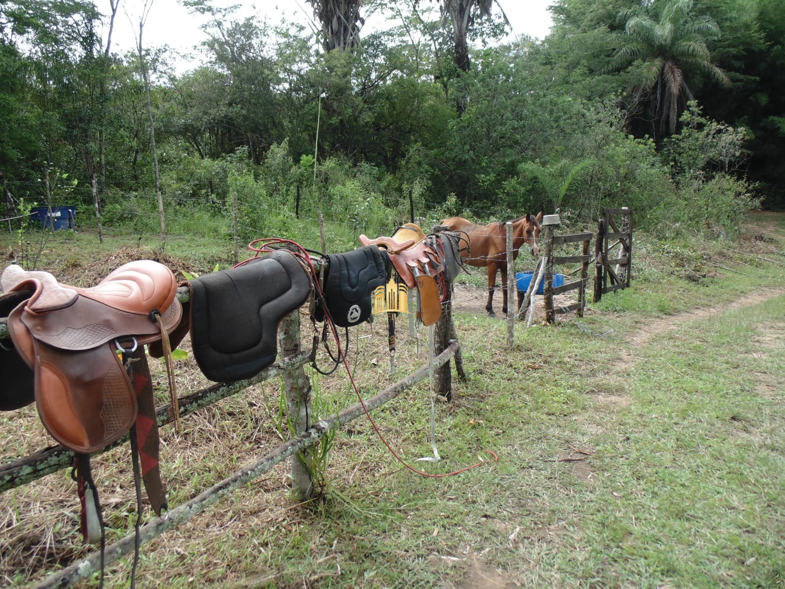 Fazenda à venda com 2 quartos, 330000m² - Foto 11