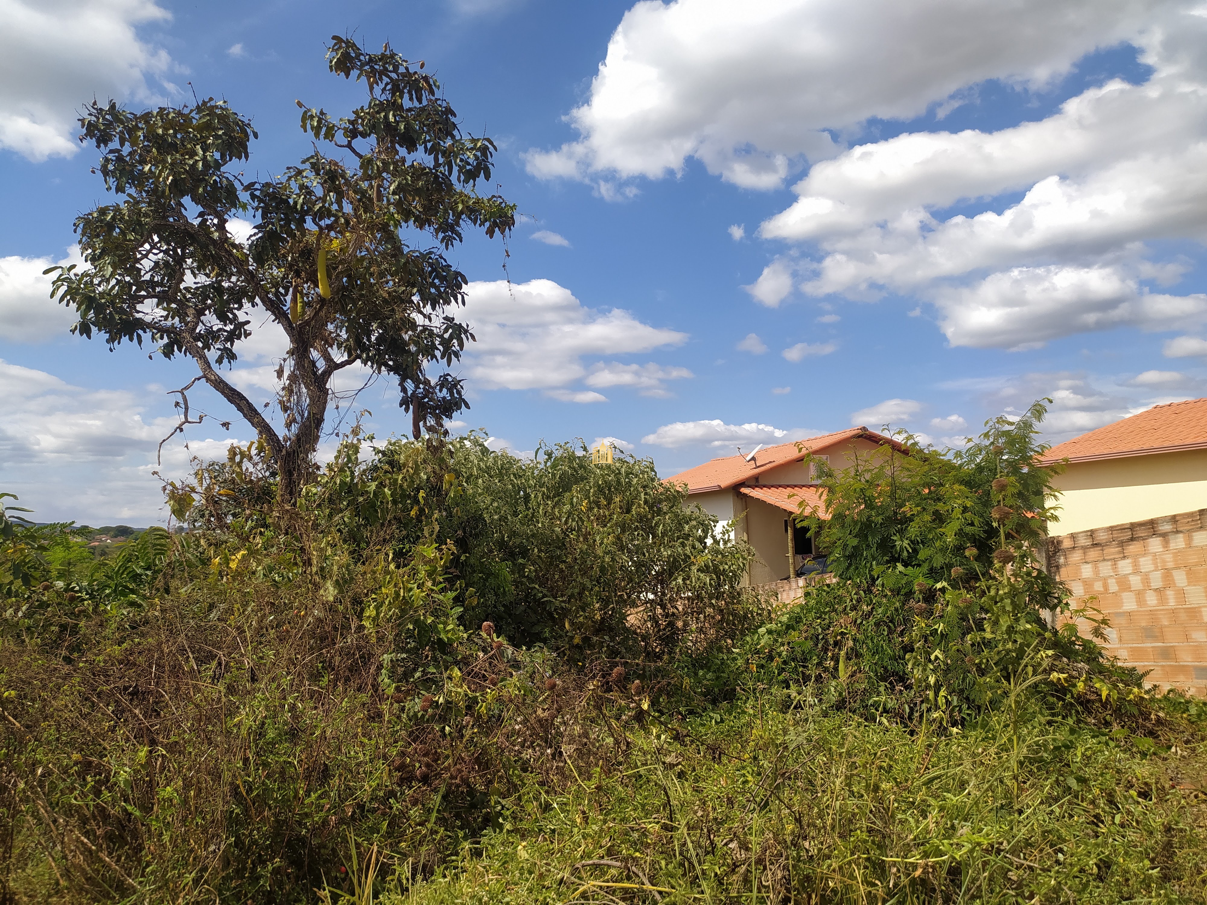 Terreno à venda, 450m² - Foto 8