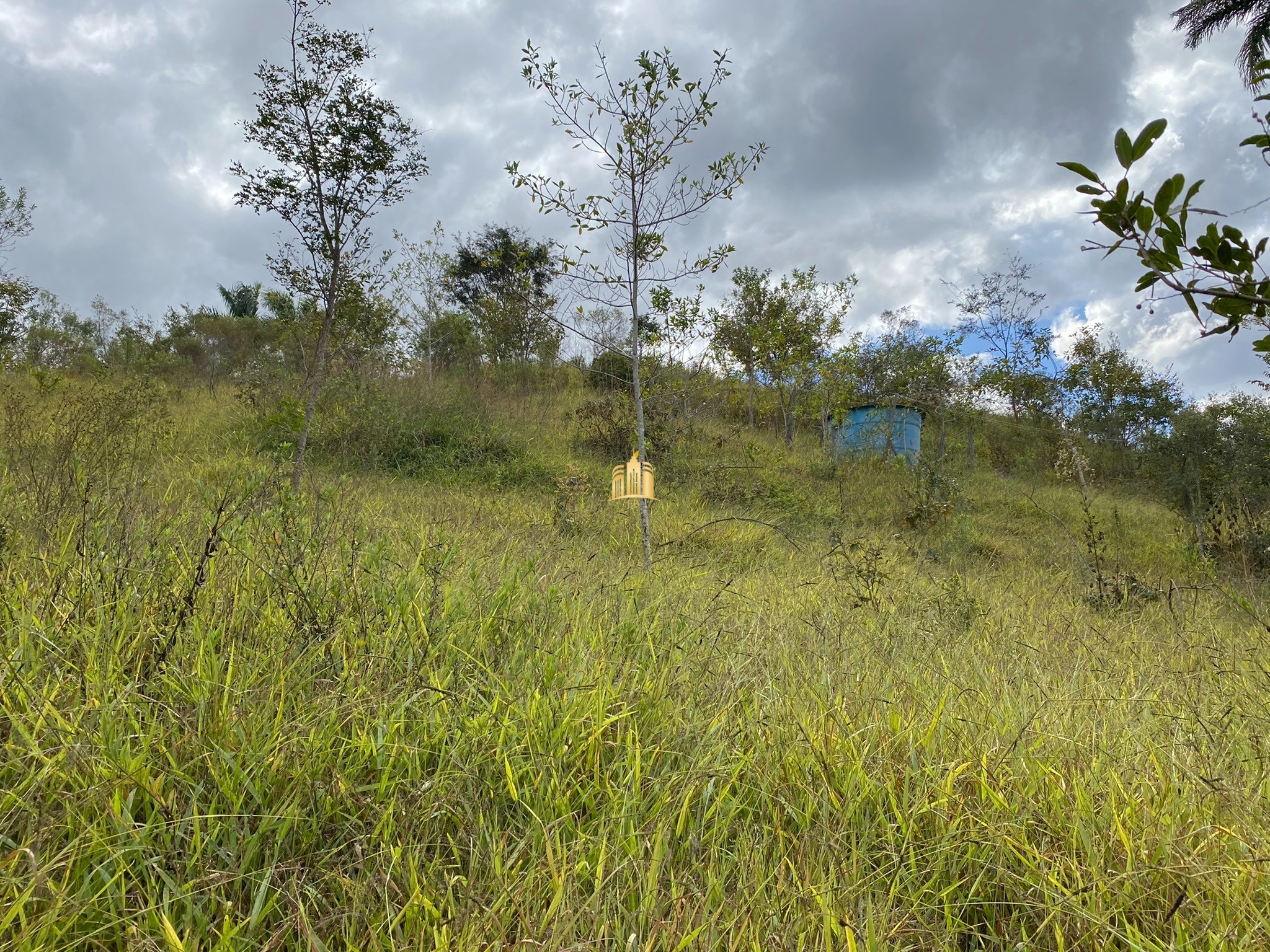 Sítio à venda com 4 quartos, 11000m² - Foto 36