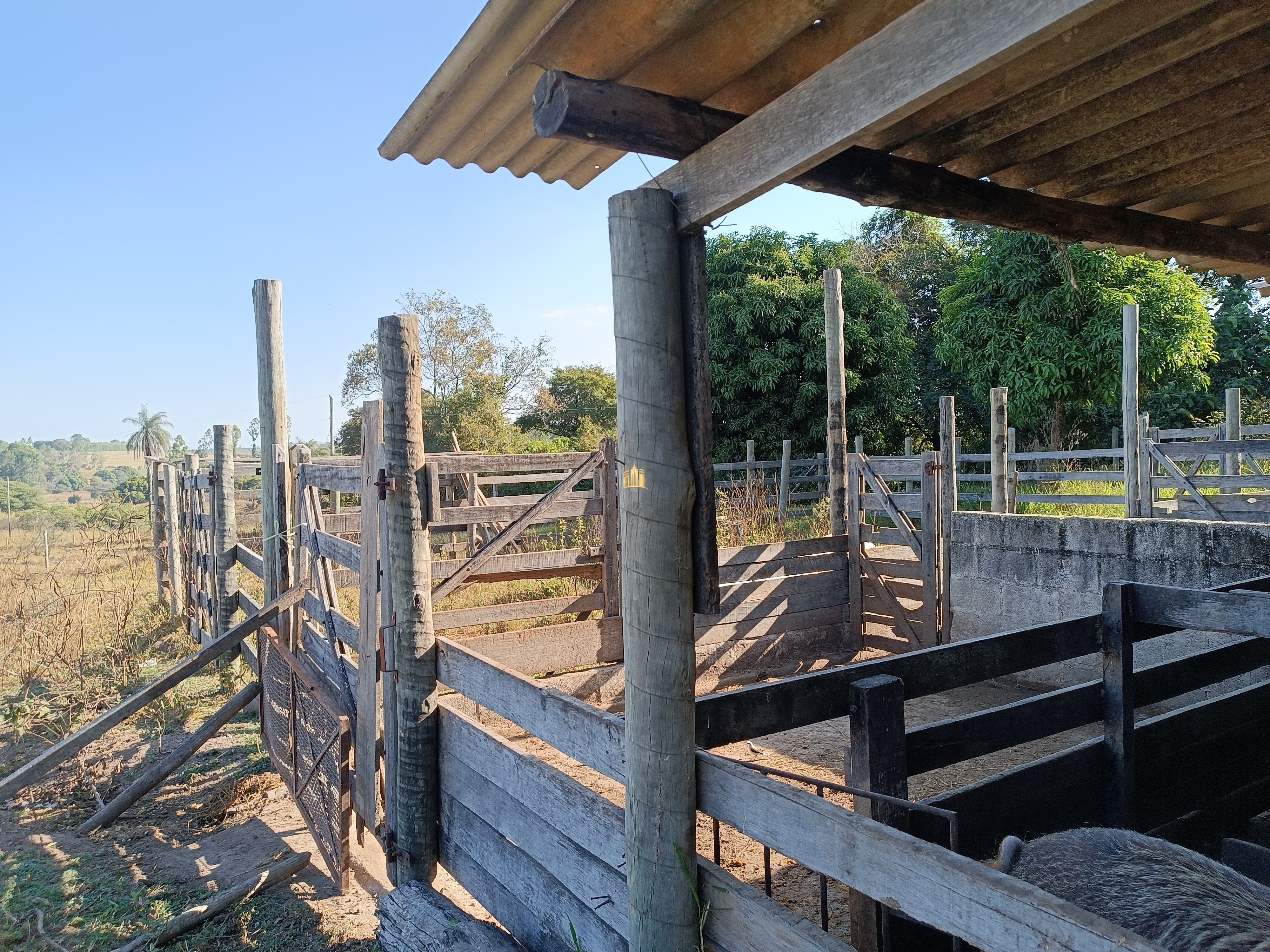 Terreno à venda, 25000m² - Foto 16