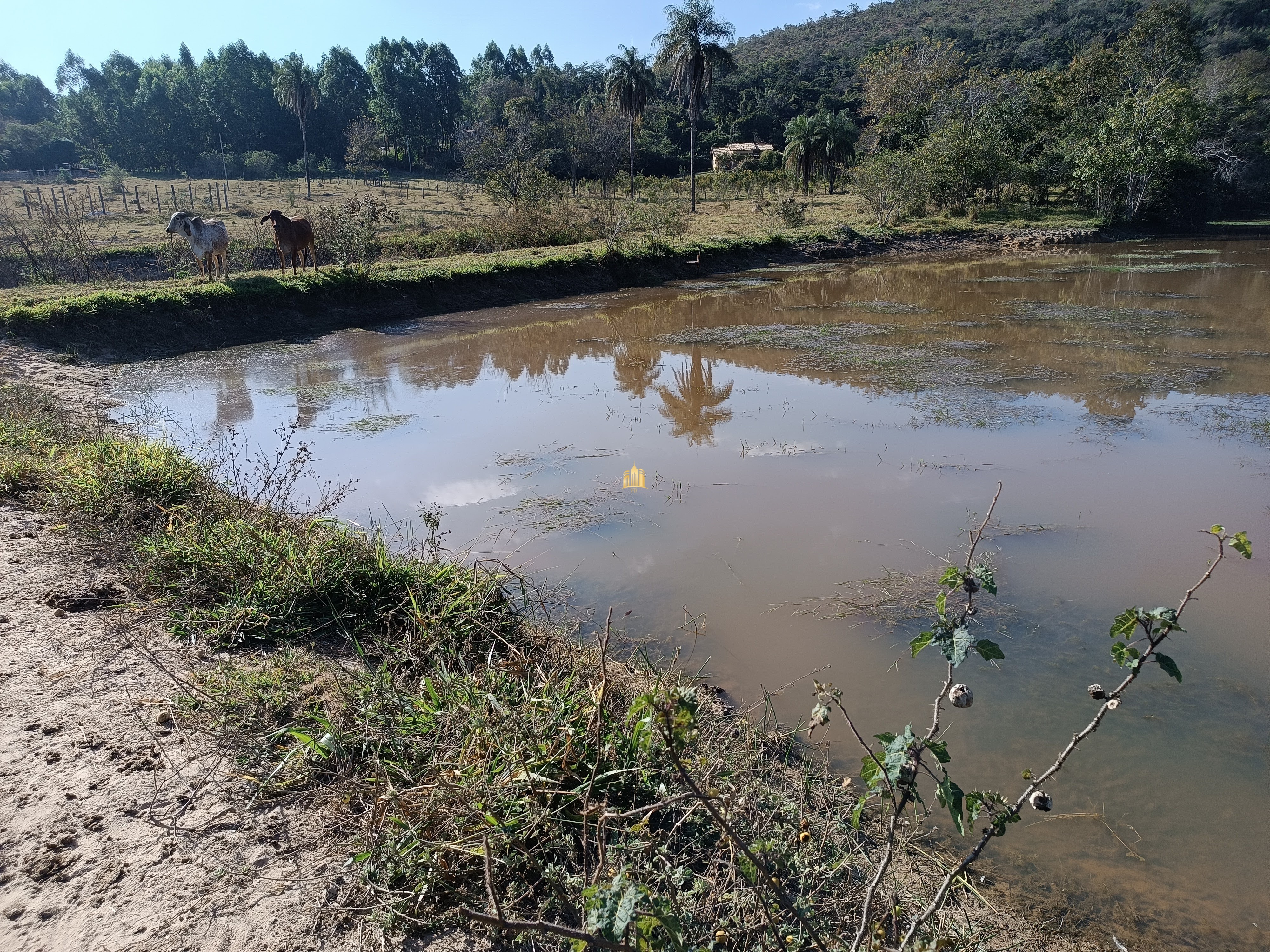 Terreno à venda, 25000m² - Foto 2