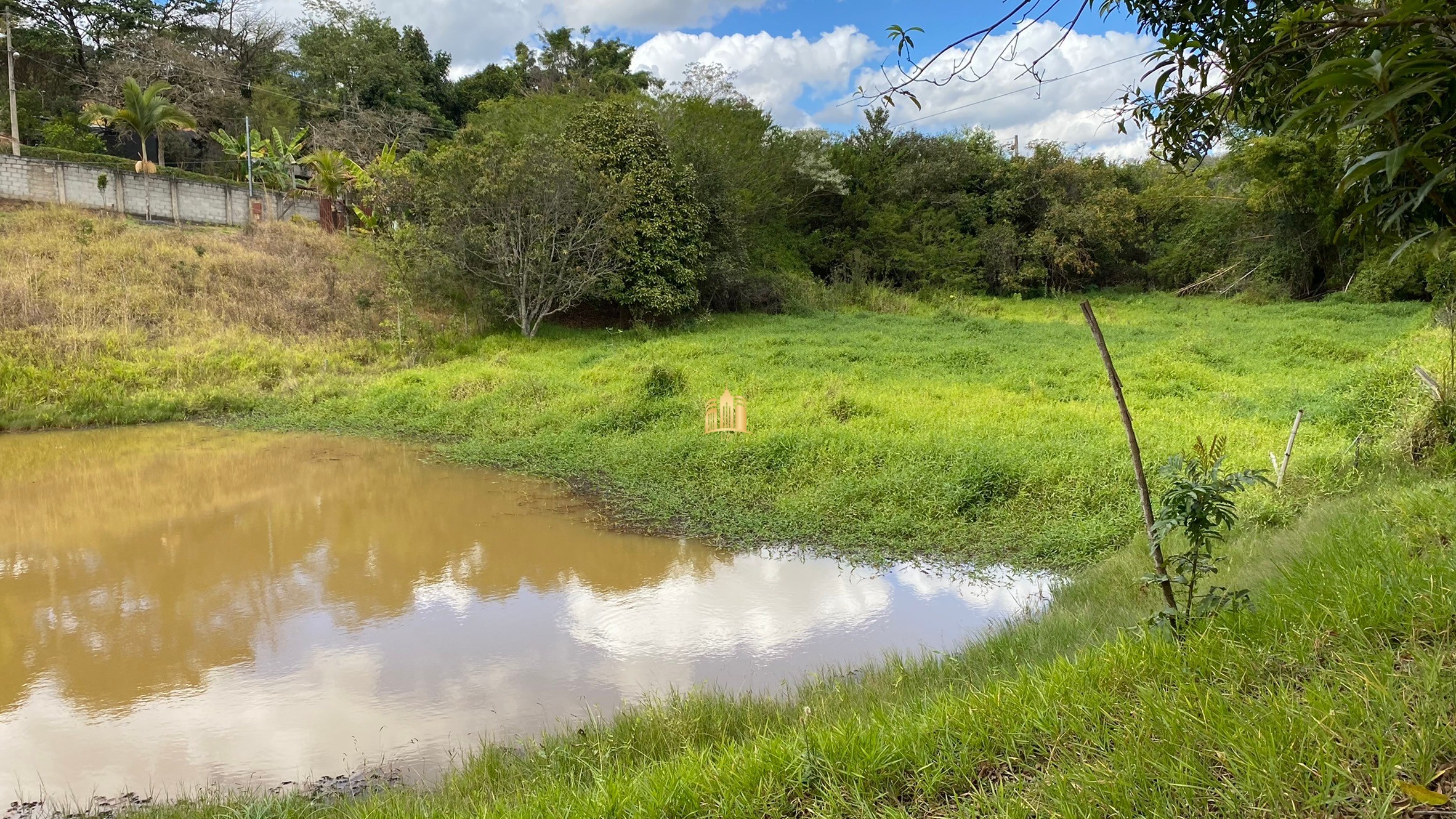 Sítio à venda com 4 quartos, 11000m² - Foto 4