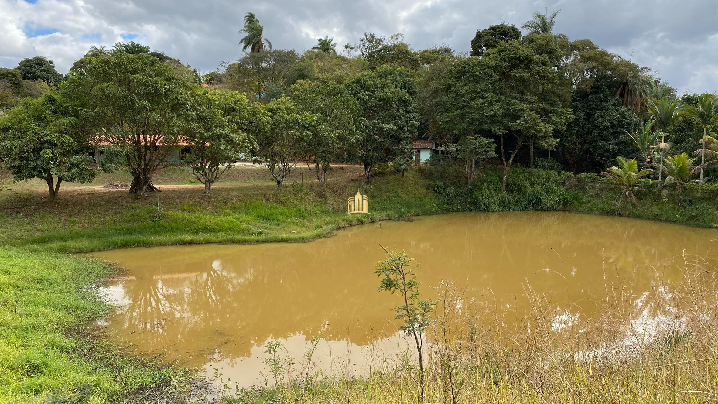 Sítio à venda com 4 quartos, 11000m² - Foto 39