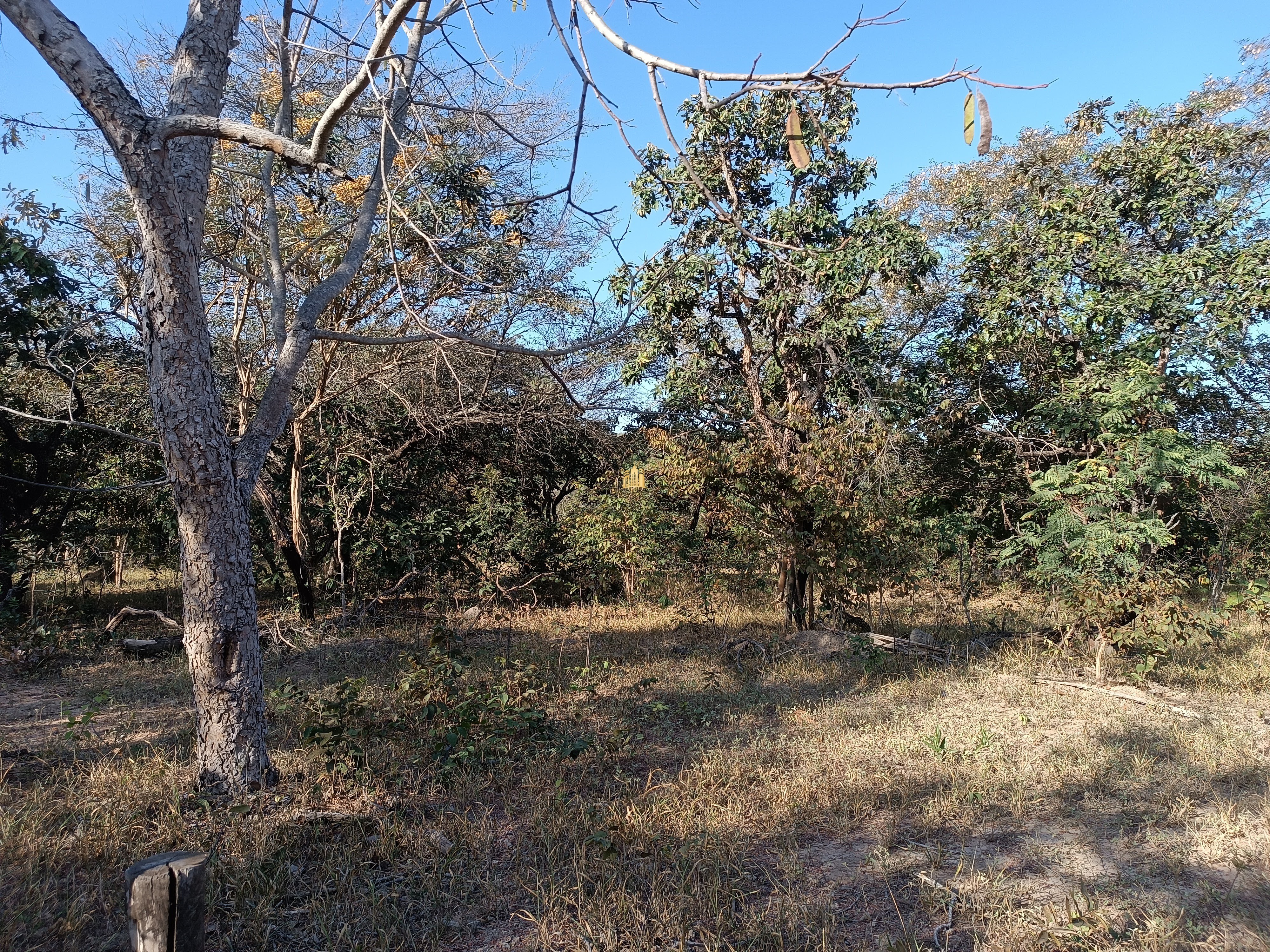 Terreno à venda, 25000m² - Foto 6