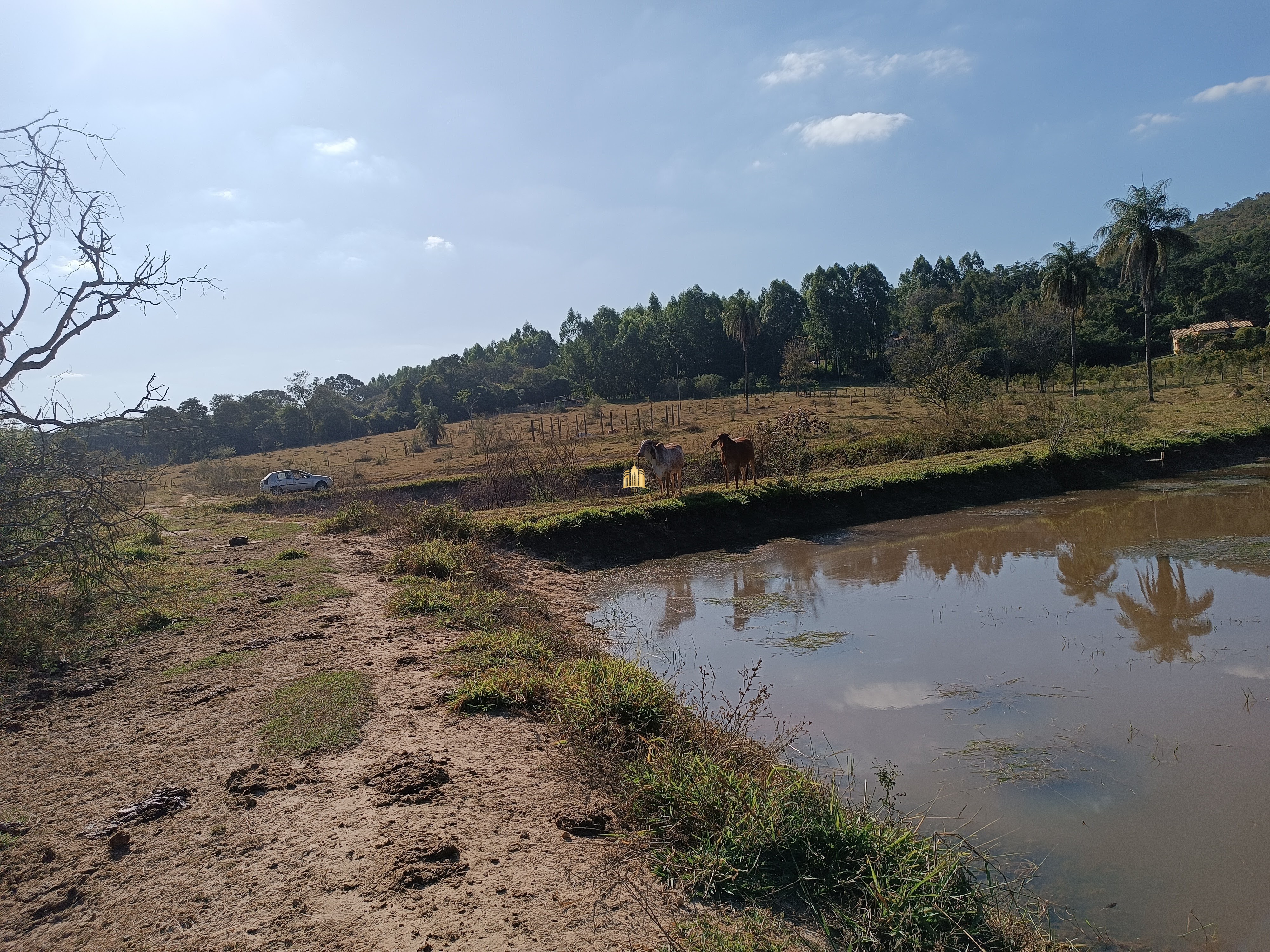 Terreno à venda, 25000m² - Foto 3