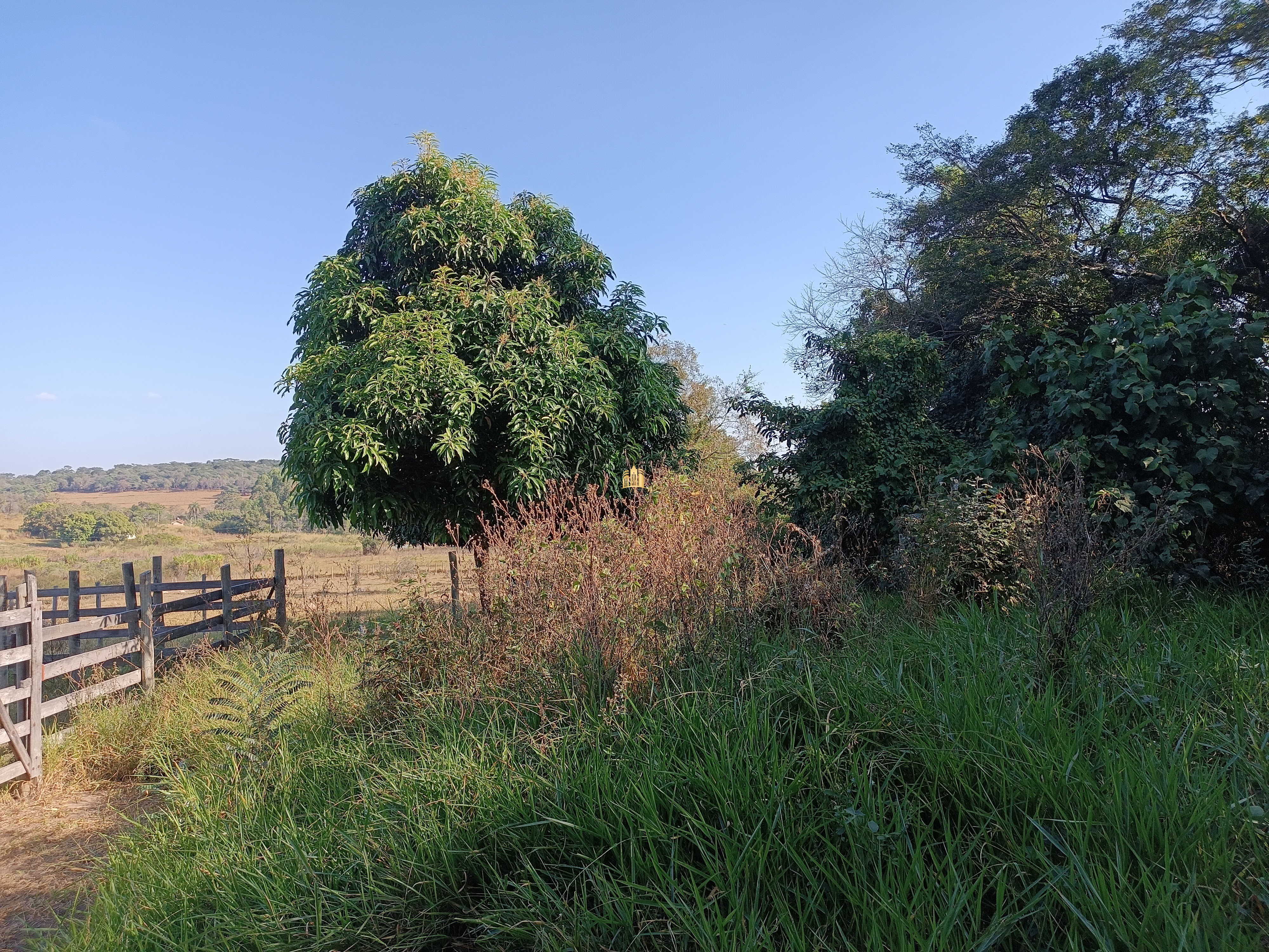 Terreno à venda, 25000m² - Foto 9