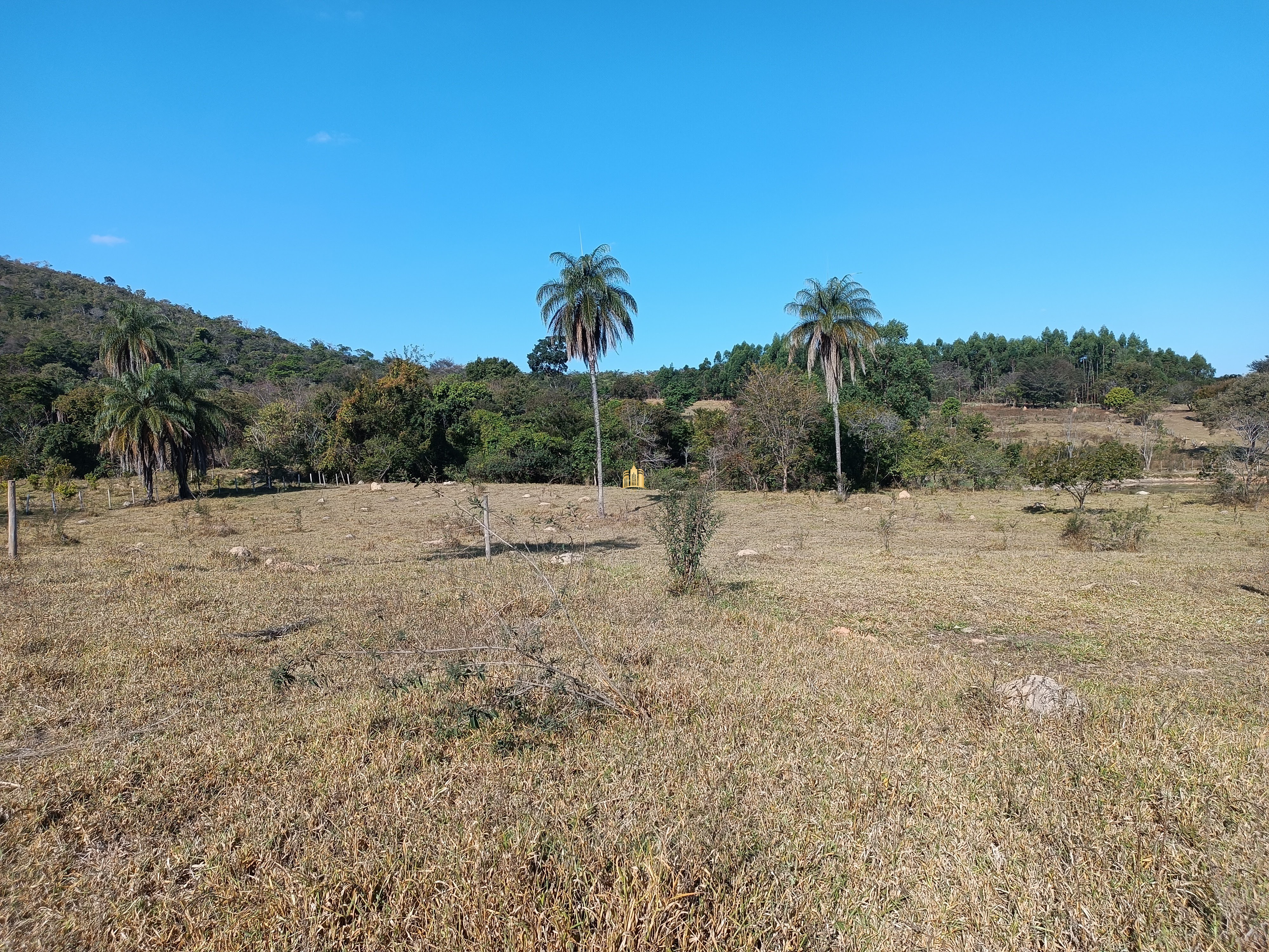 Terreno à venda, 25000m² - Foto 21