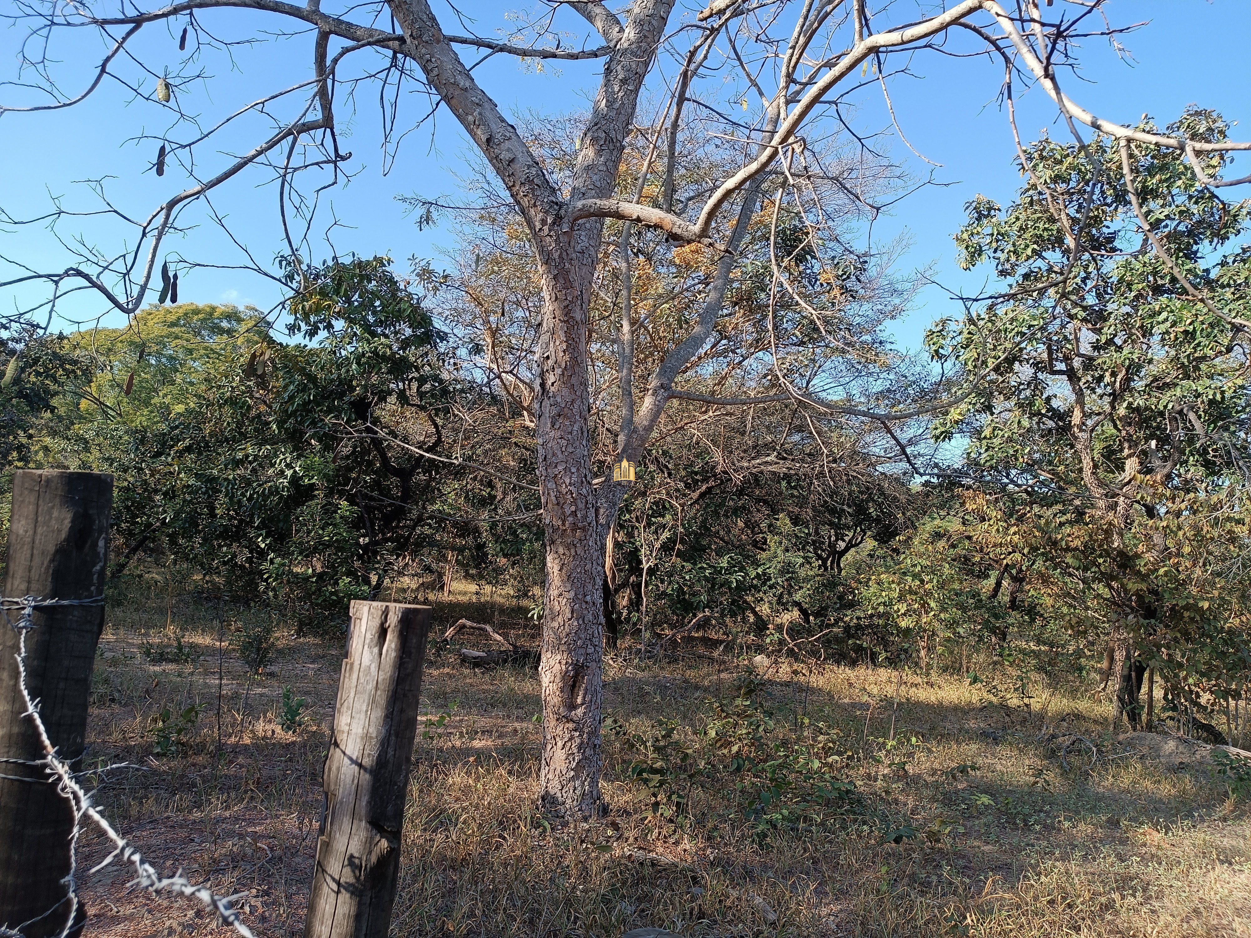 Terreno à venda, 25000m² - Foto 5