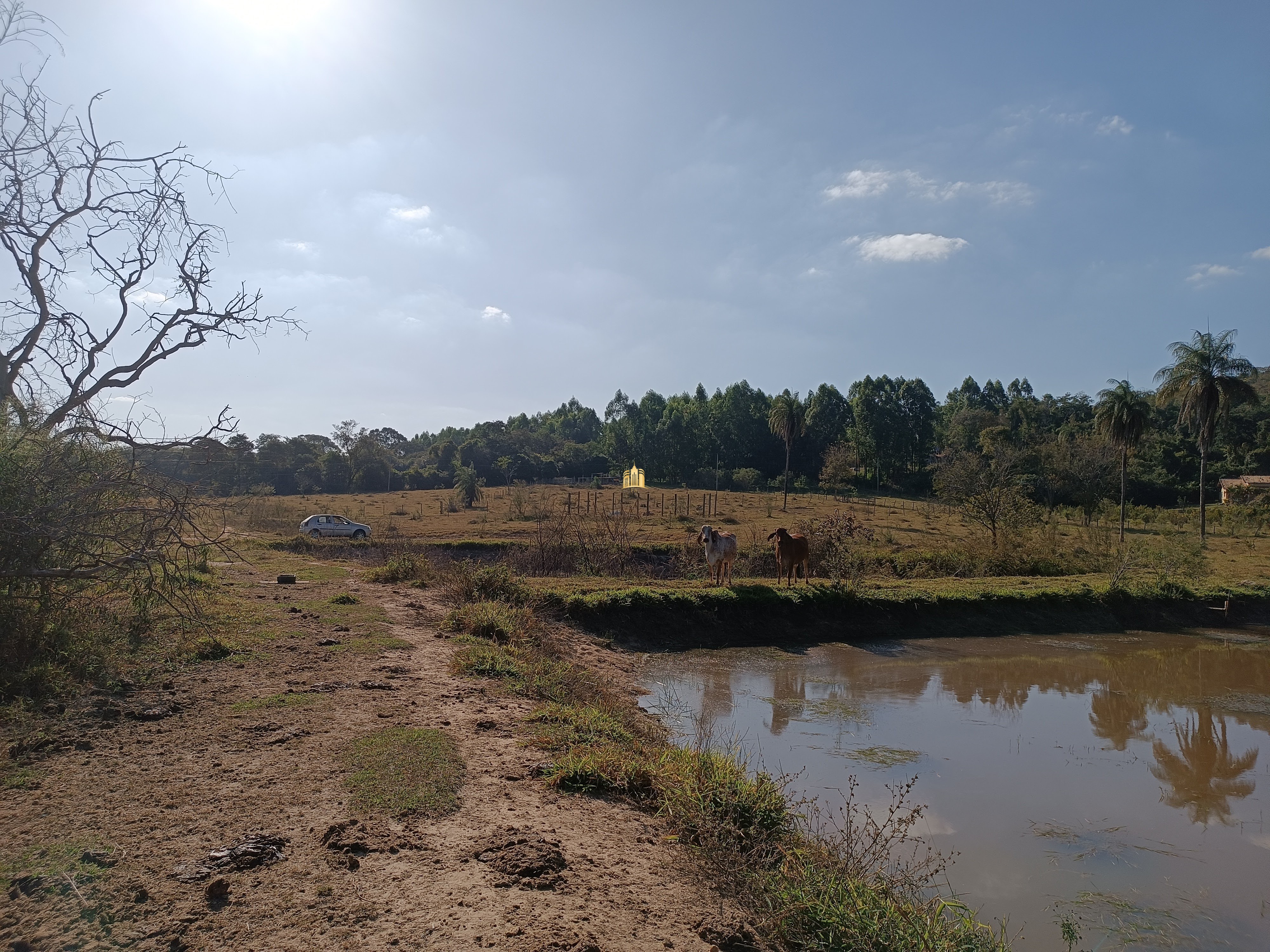 Terreno à venda, 25000m² - Foto 1