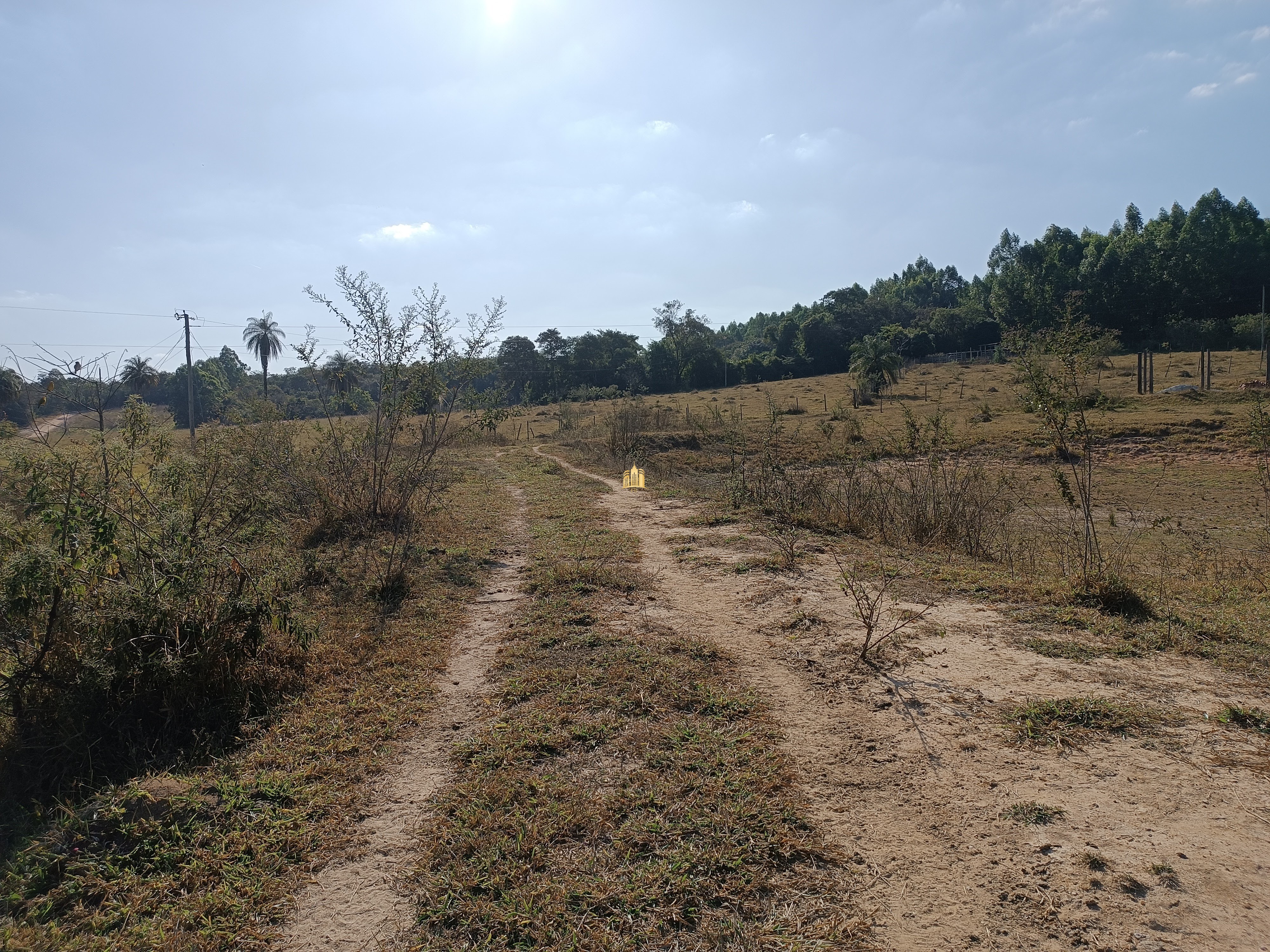 Terreno à venda, 25000m² - Foto 26