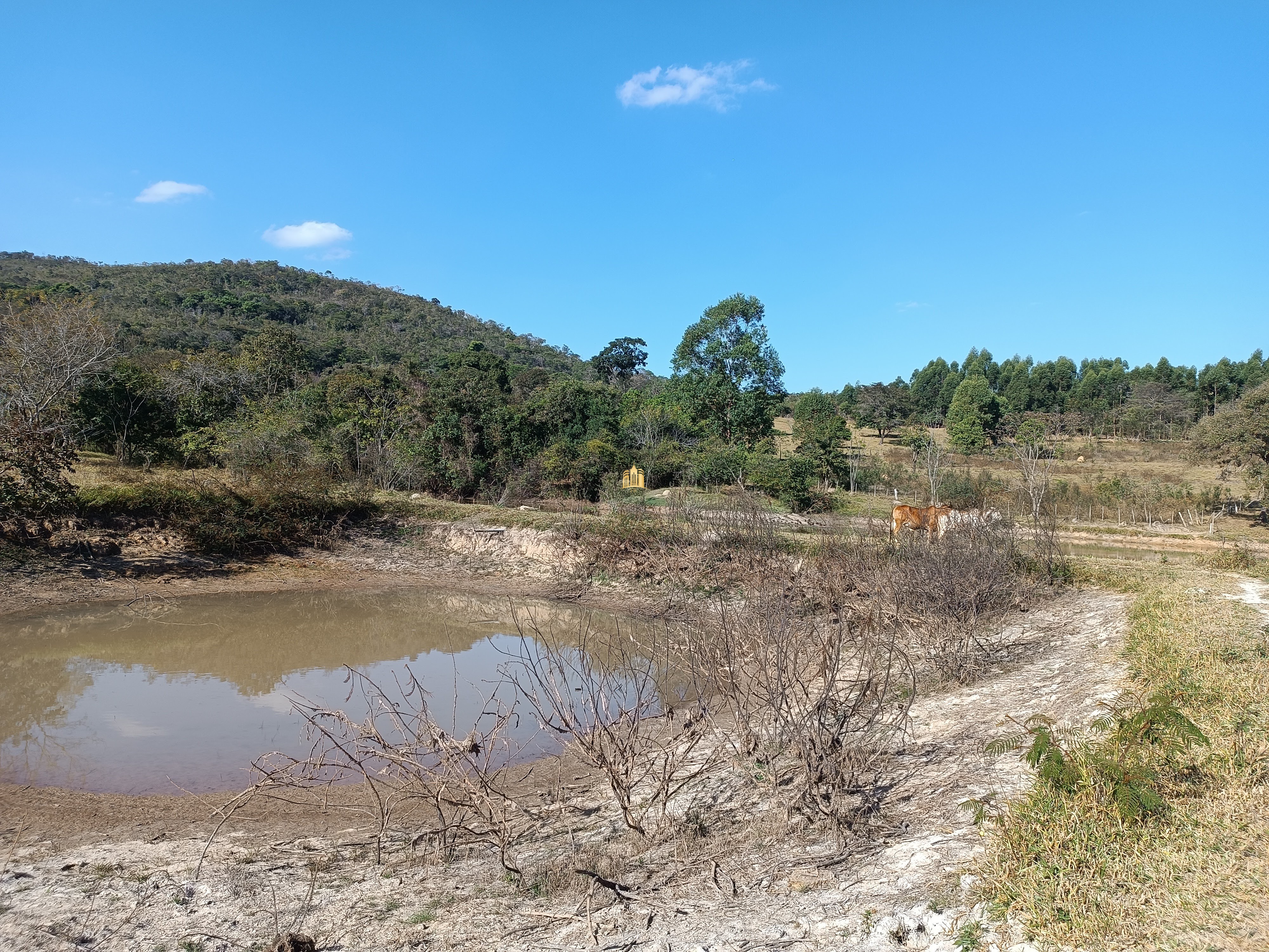 Terreno à venda, 25000m² - Foto 25