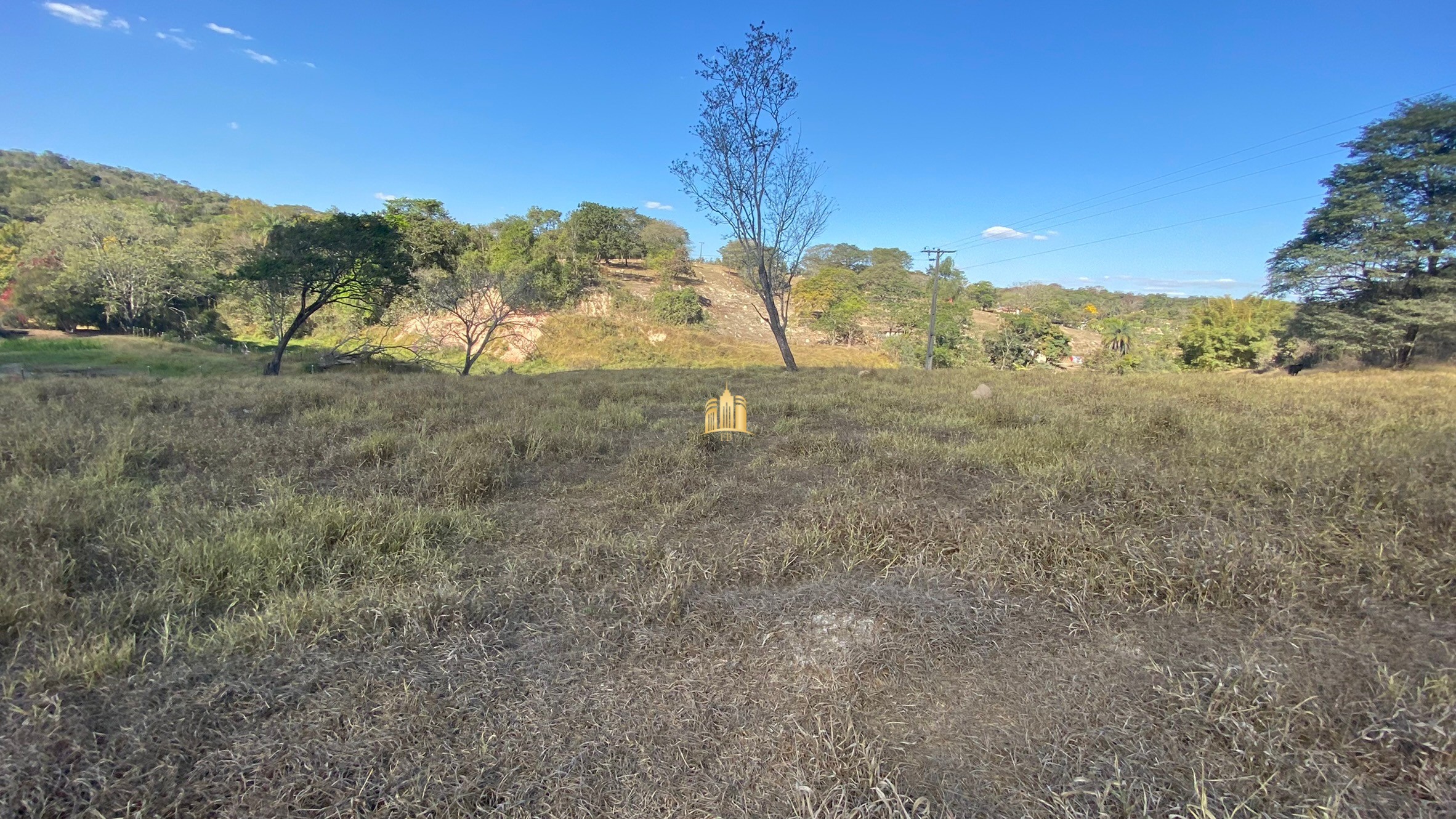 Fazenda à venda com 7 quartos, 710000m² - Foto 7