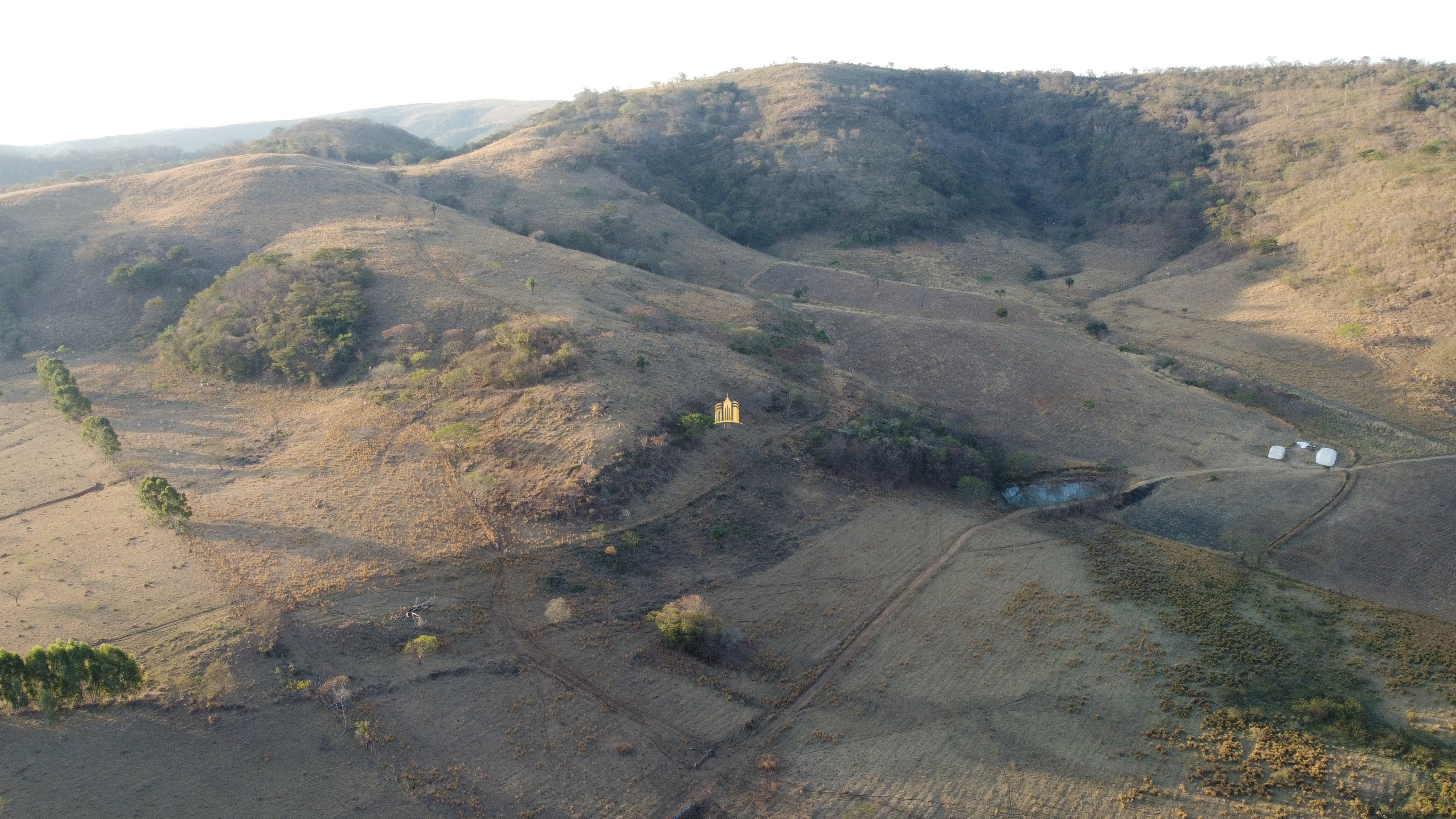 Fazenda à venda com 1 quarto, 400000m² - Foto 8