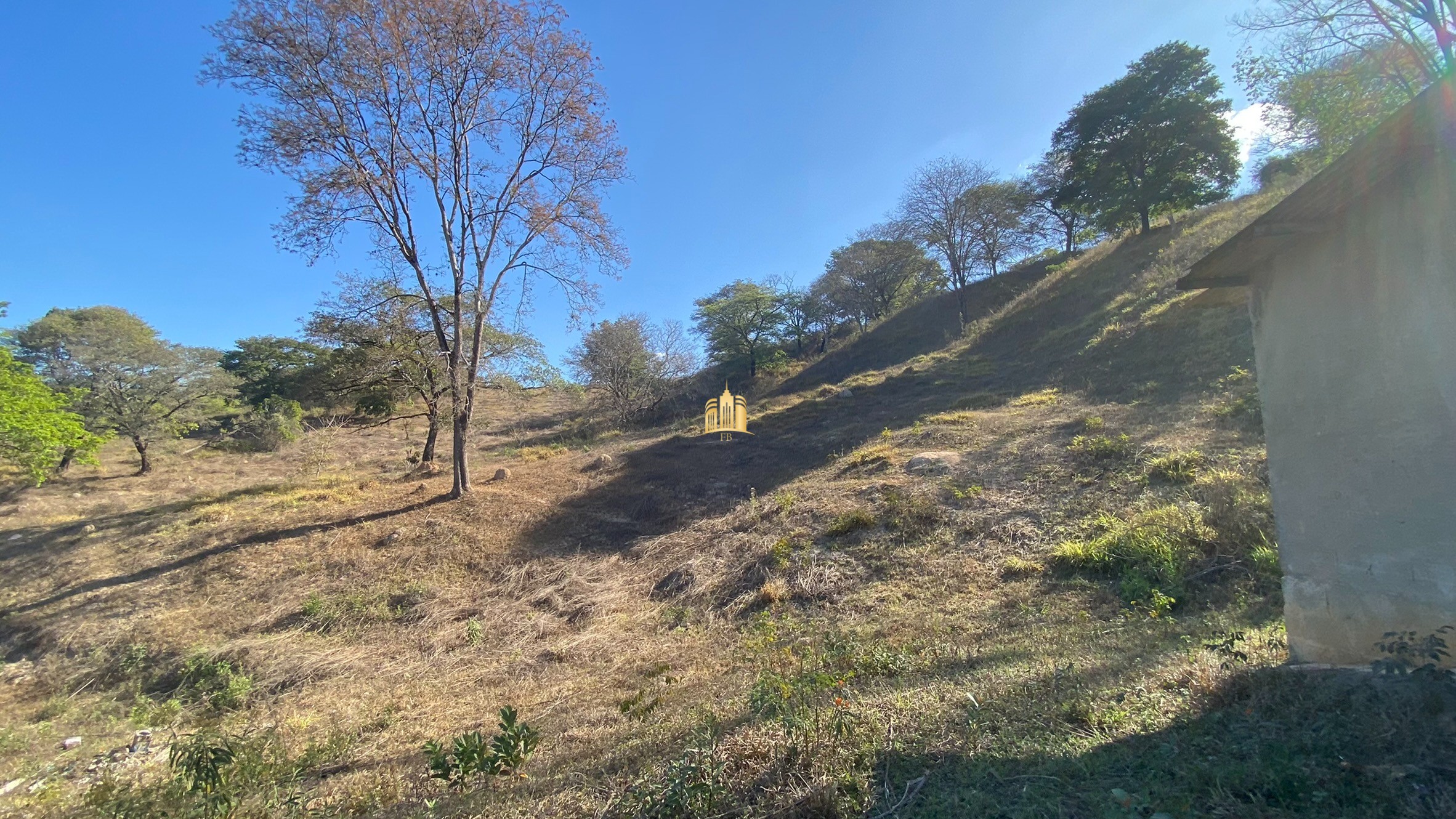 Fazenda à venda com 7 quartos, 710000m² - Foto 35