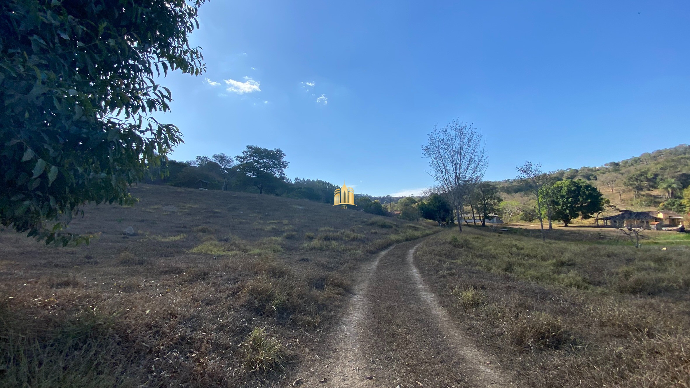 Fazenda à venda com 7 quartos, 710000m² - Foto 4