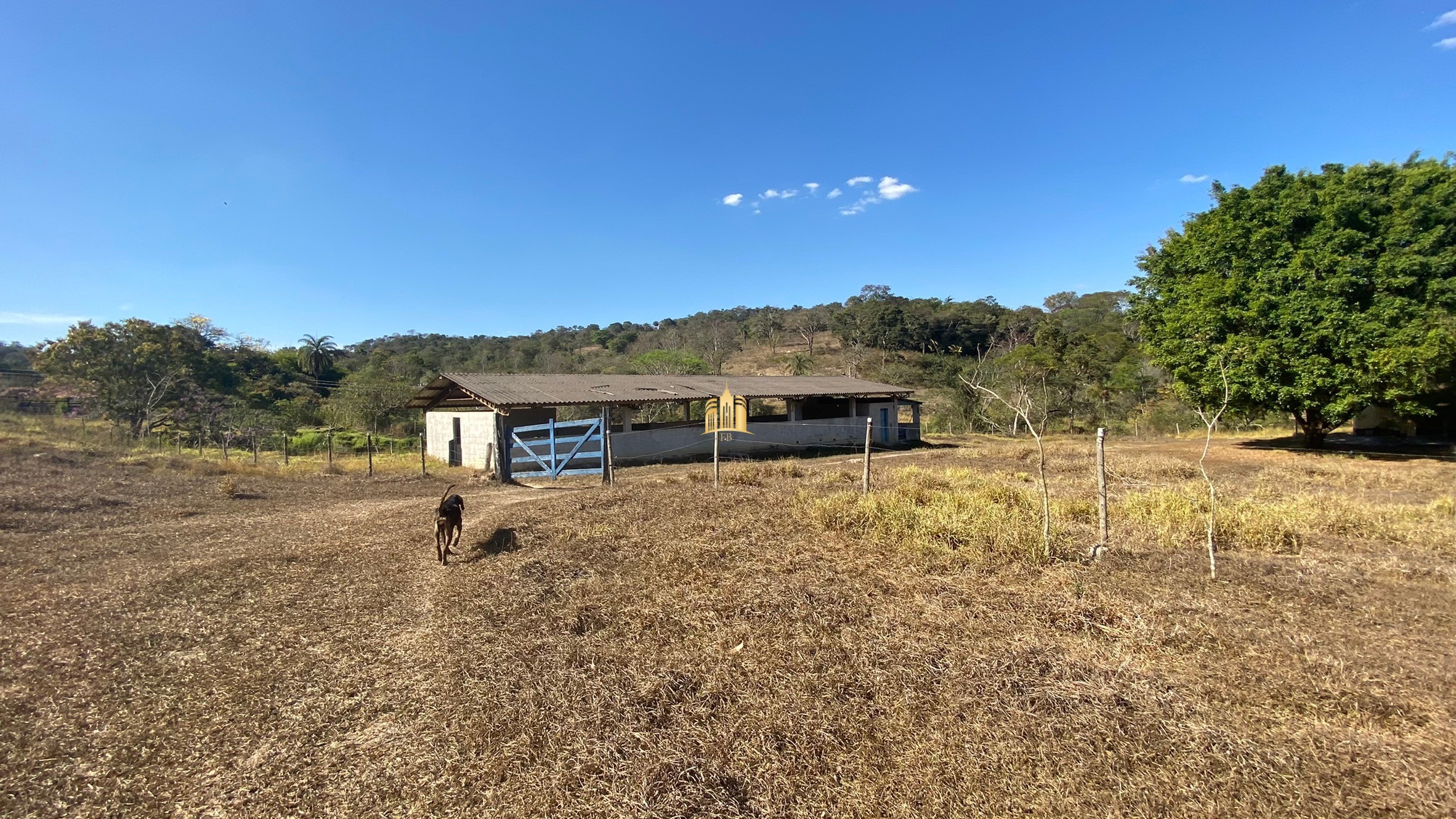 Fazenda à venda com 7 quartos, 710000m² - Foto 16