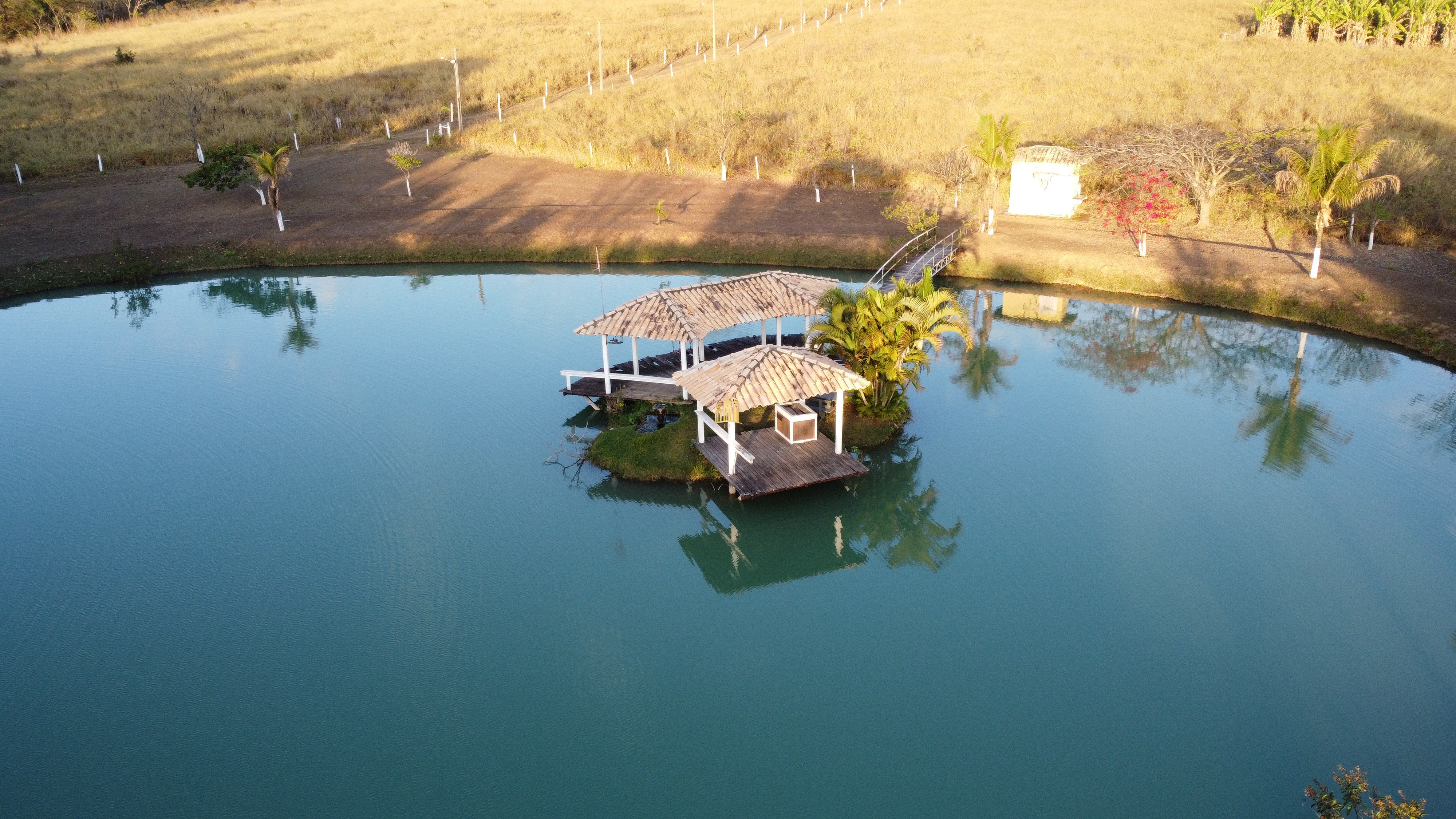 Fazenda à venda com 2 quartos, 131916m² - Foto 3