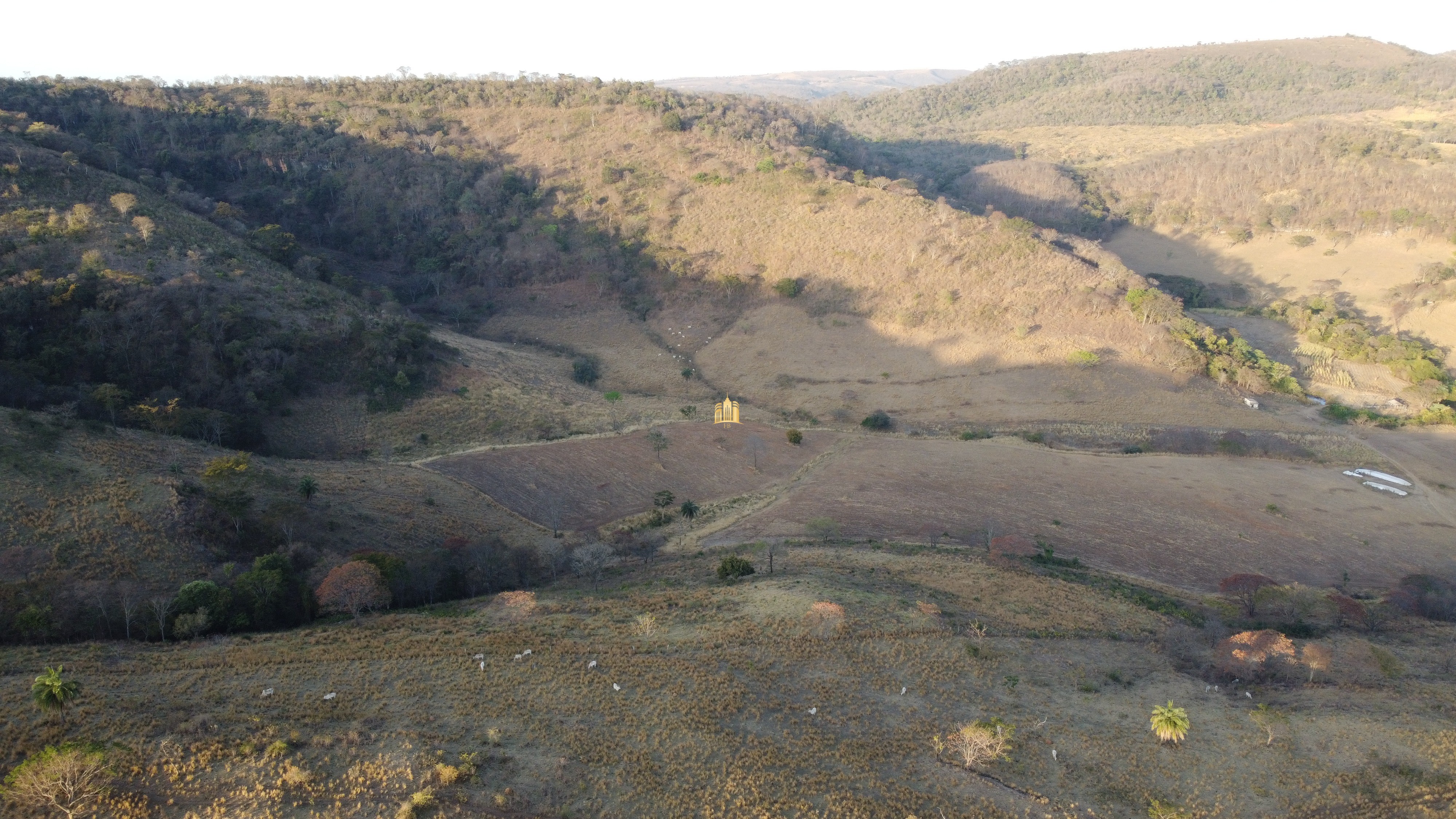 Fazenda à venda com 1 quarto, 400000m² - Foto 18