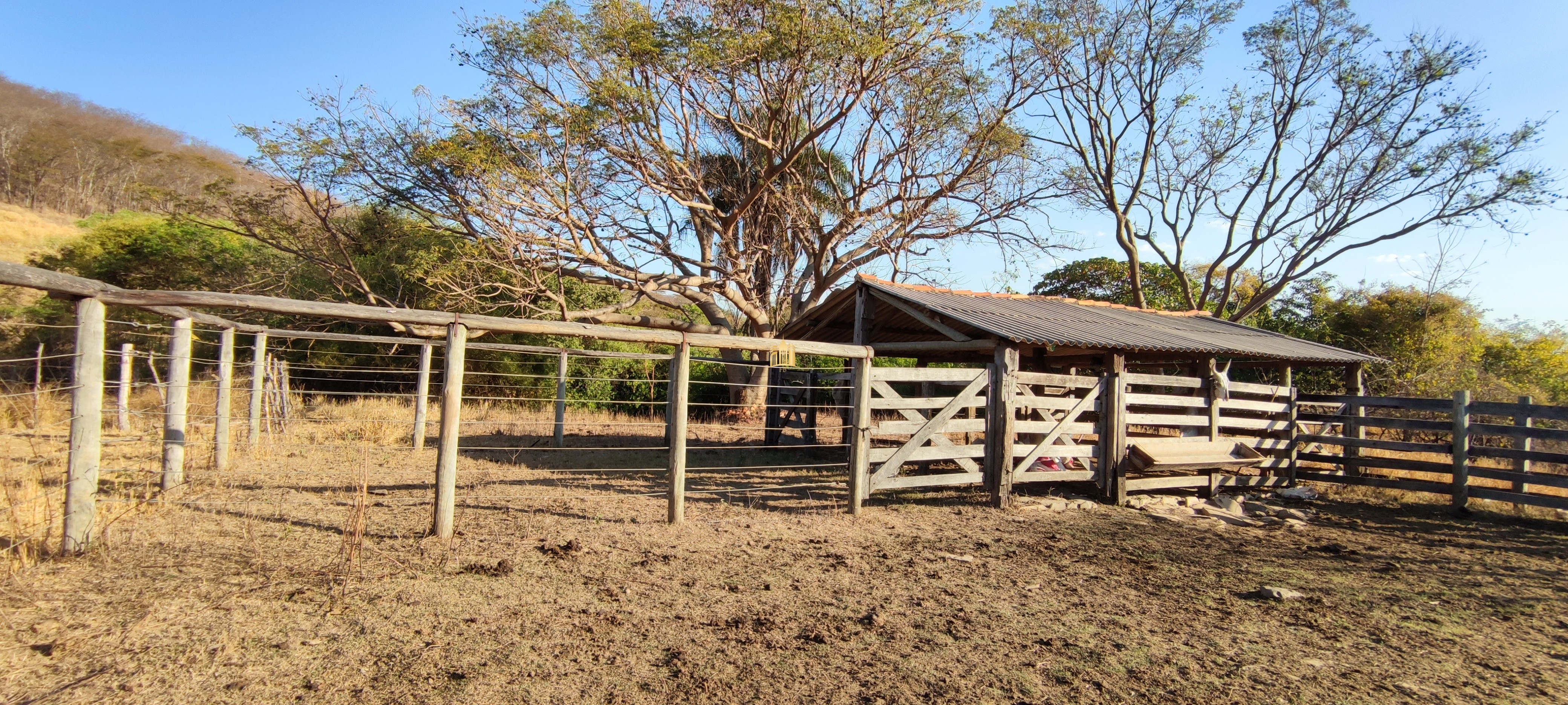 Fazenda à venda com 1 quarto, 400000m² - Foto 28