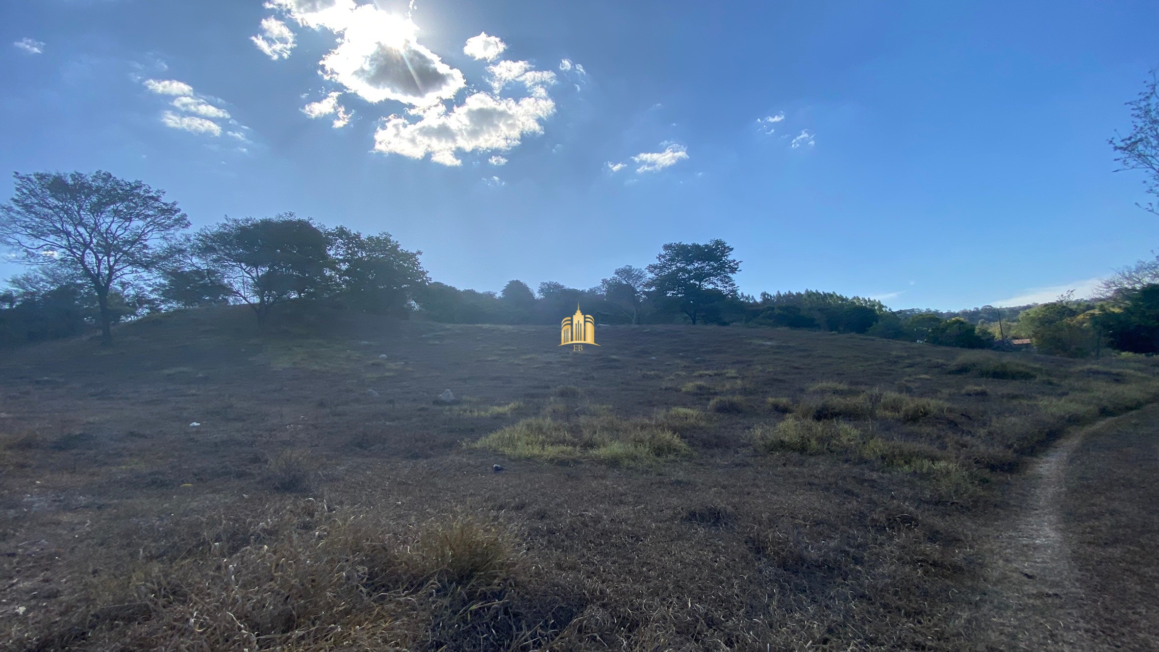 Fazenda à venda com 7 quartos, 710000m² - Foto 5