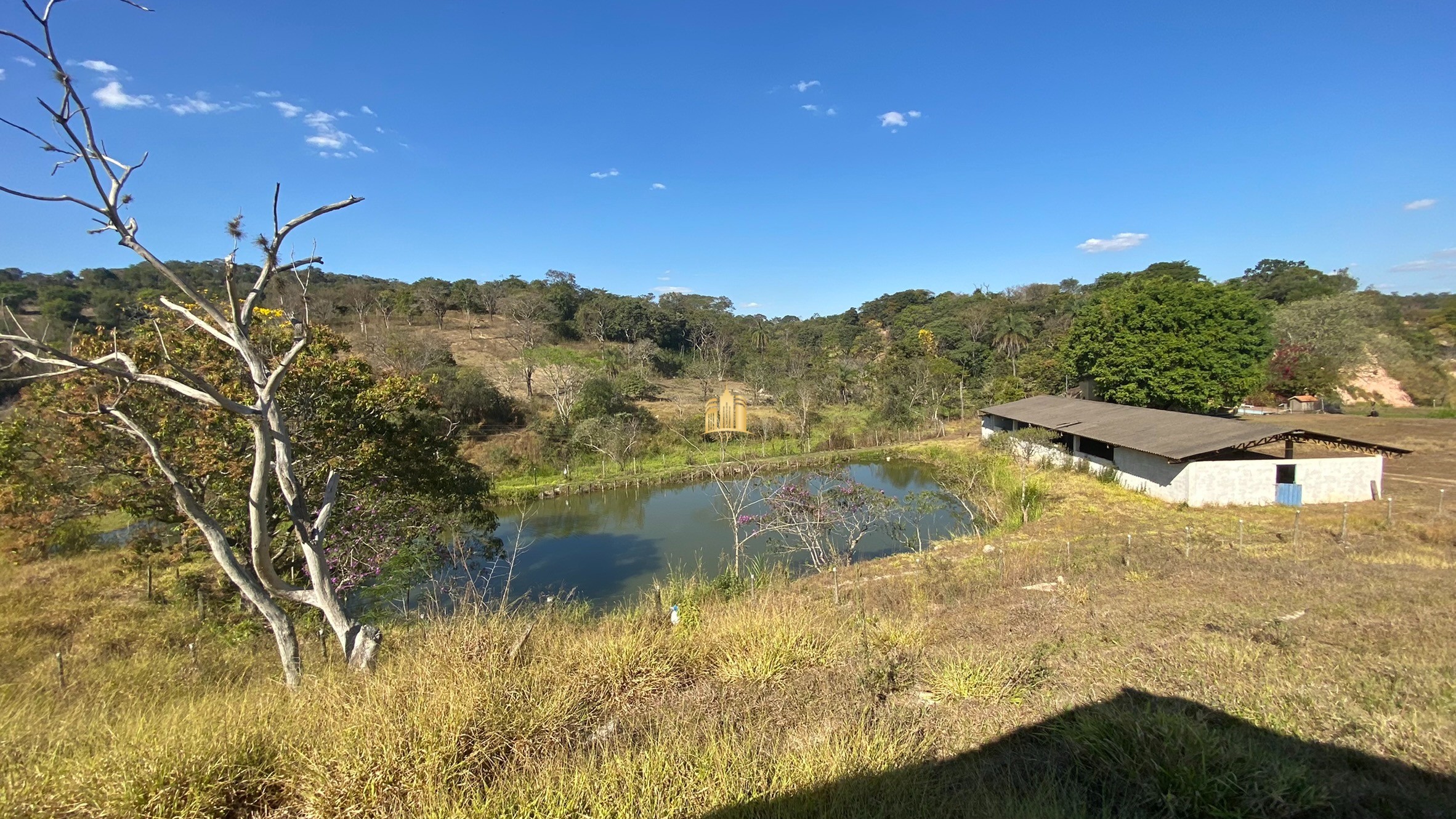 Fazenda à venda com 7 quartos, 710000m² - Foto 1